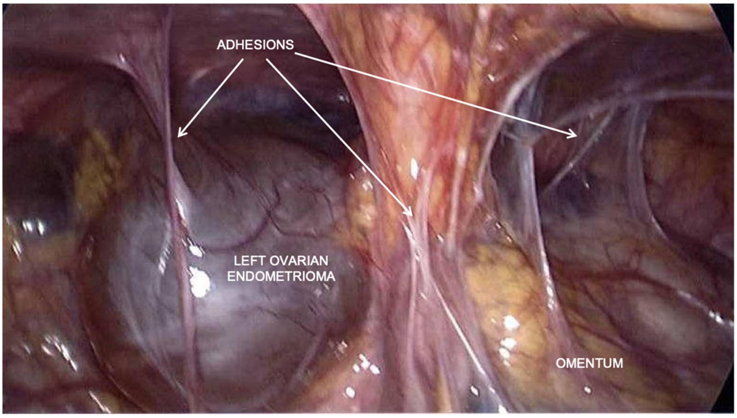 Healthcare 12 00988 g002