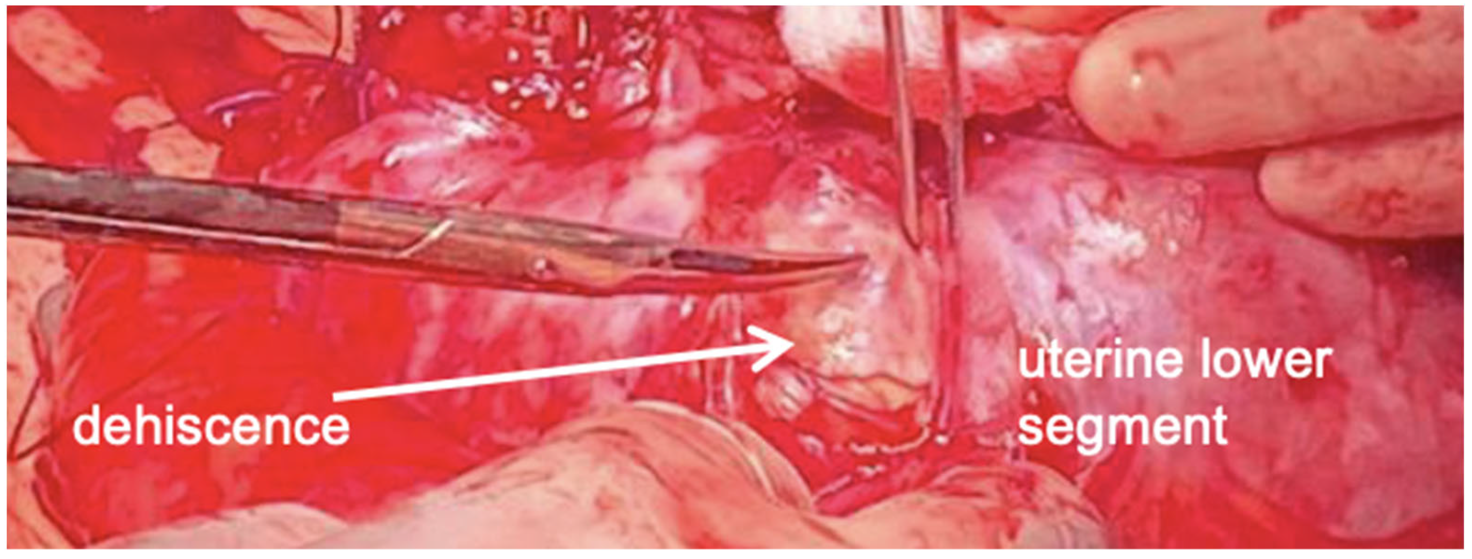 Healthcare 12 00988 g008