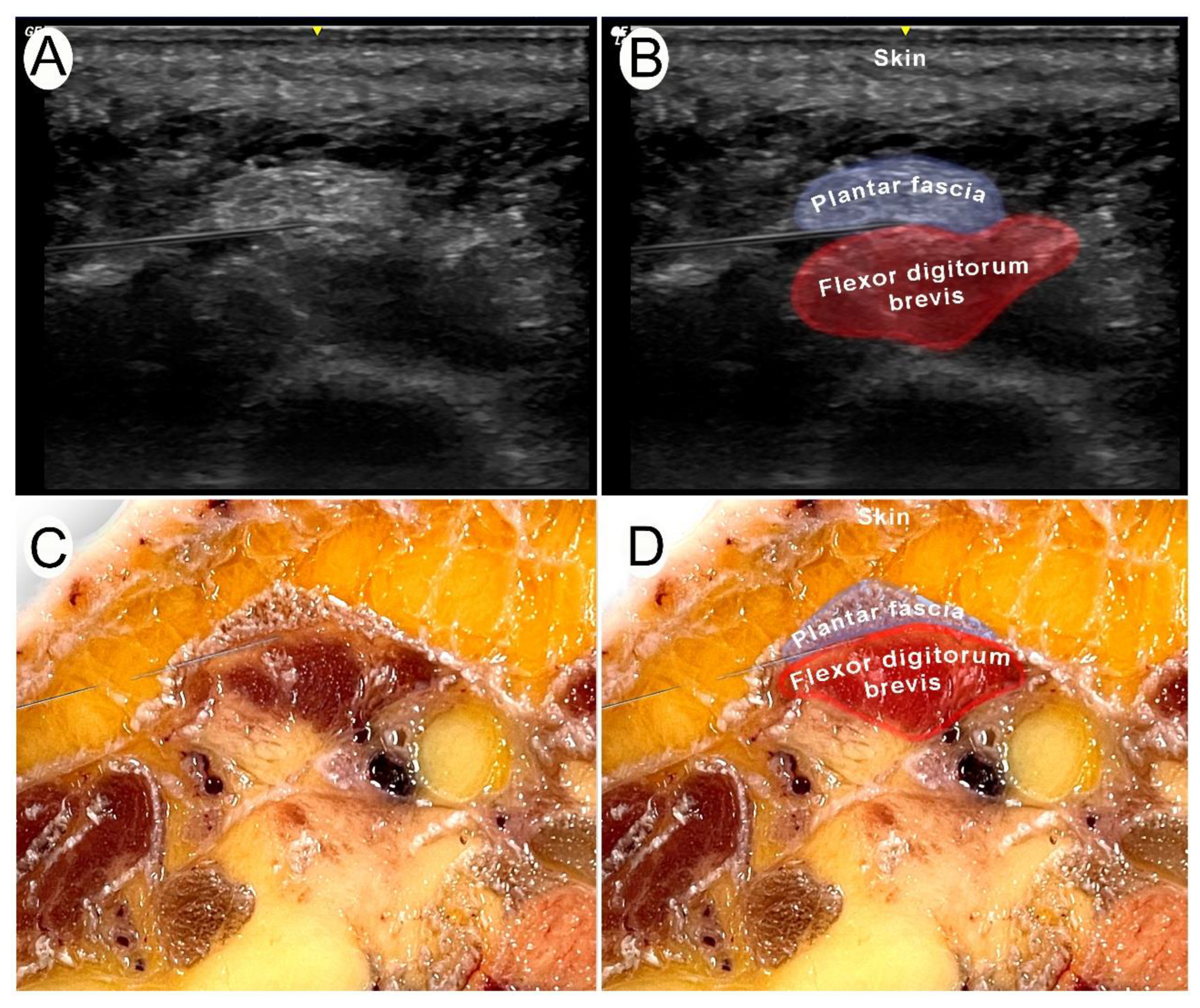 Healthcare 12 01000 g002