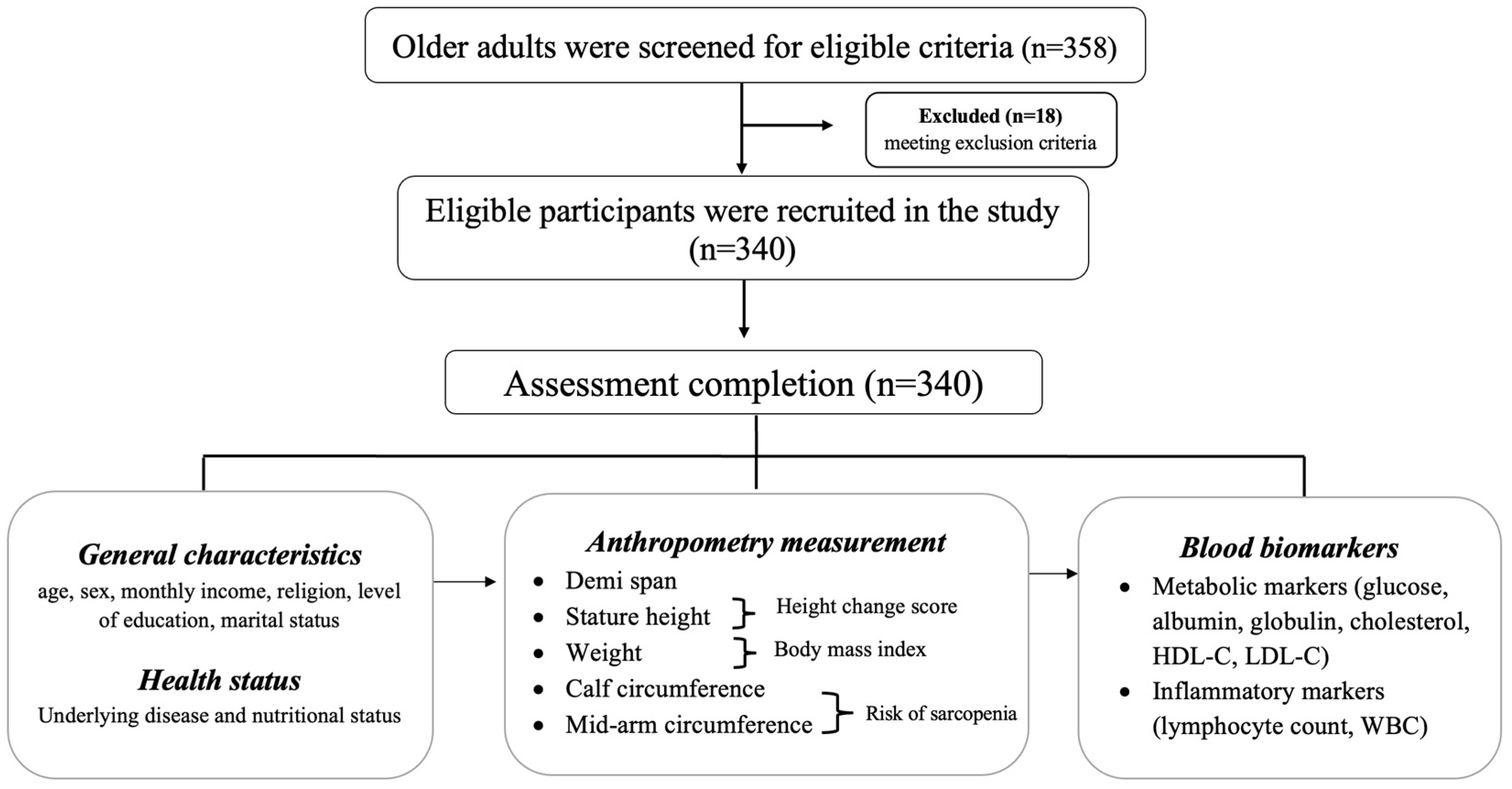 Healthcare 12 01005 g001