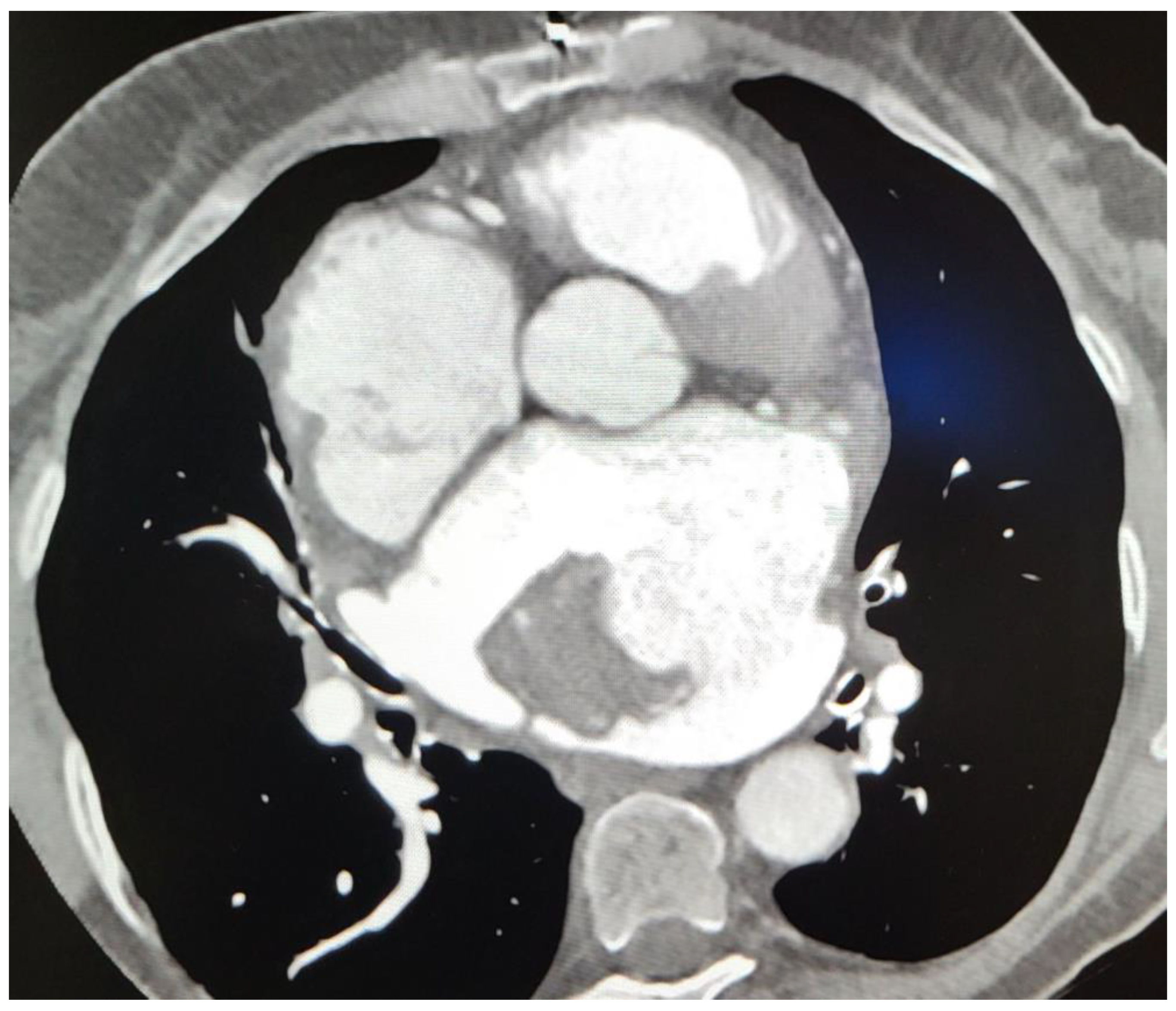 Healthcare 12 01009 g002