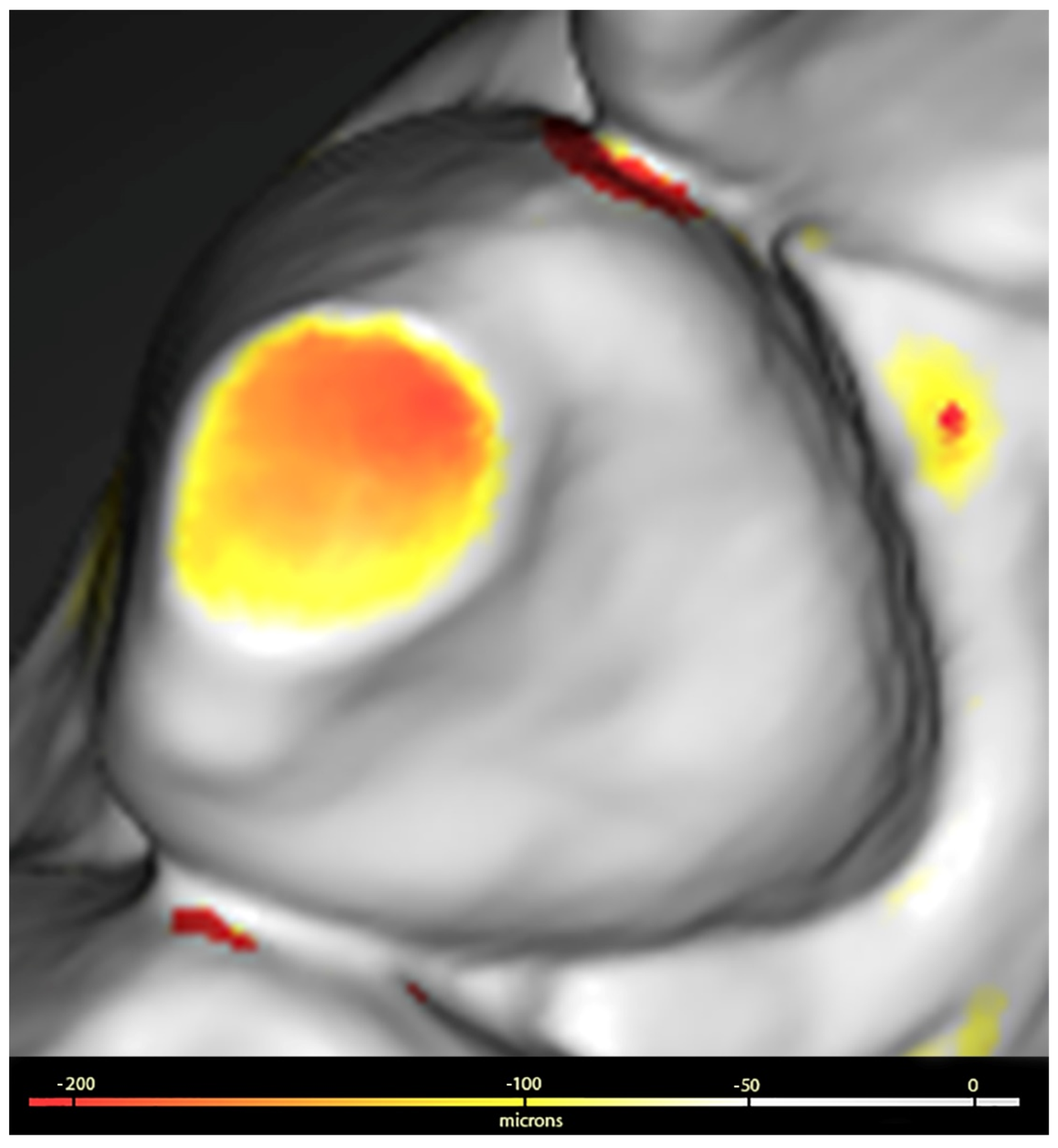 Healthcare 12 01069 g001