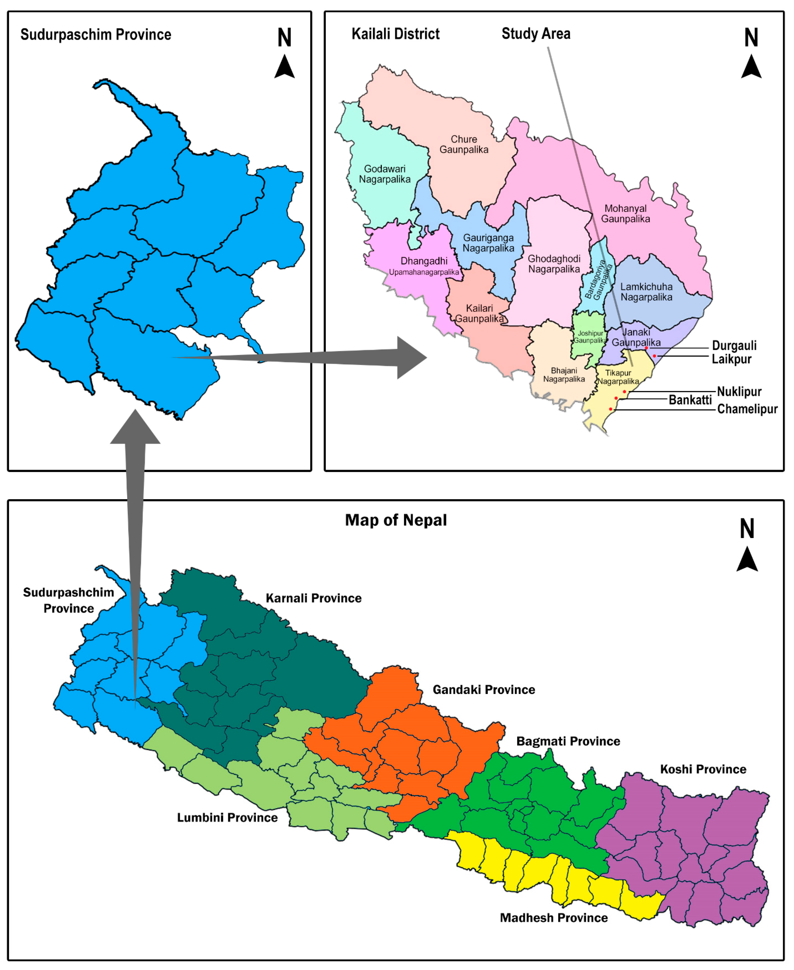 Healthcare 12 01099 g001