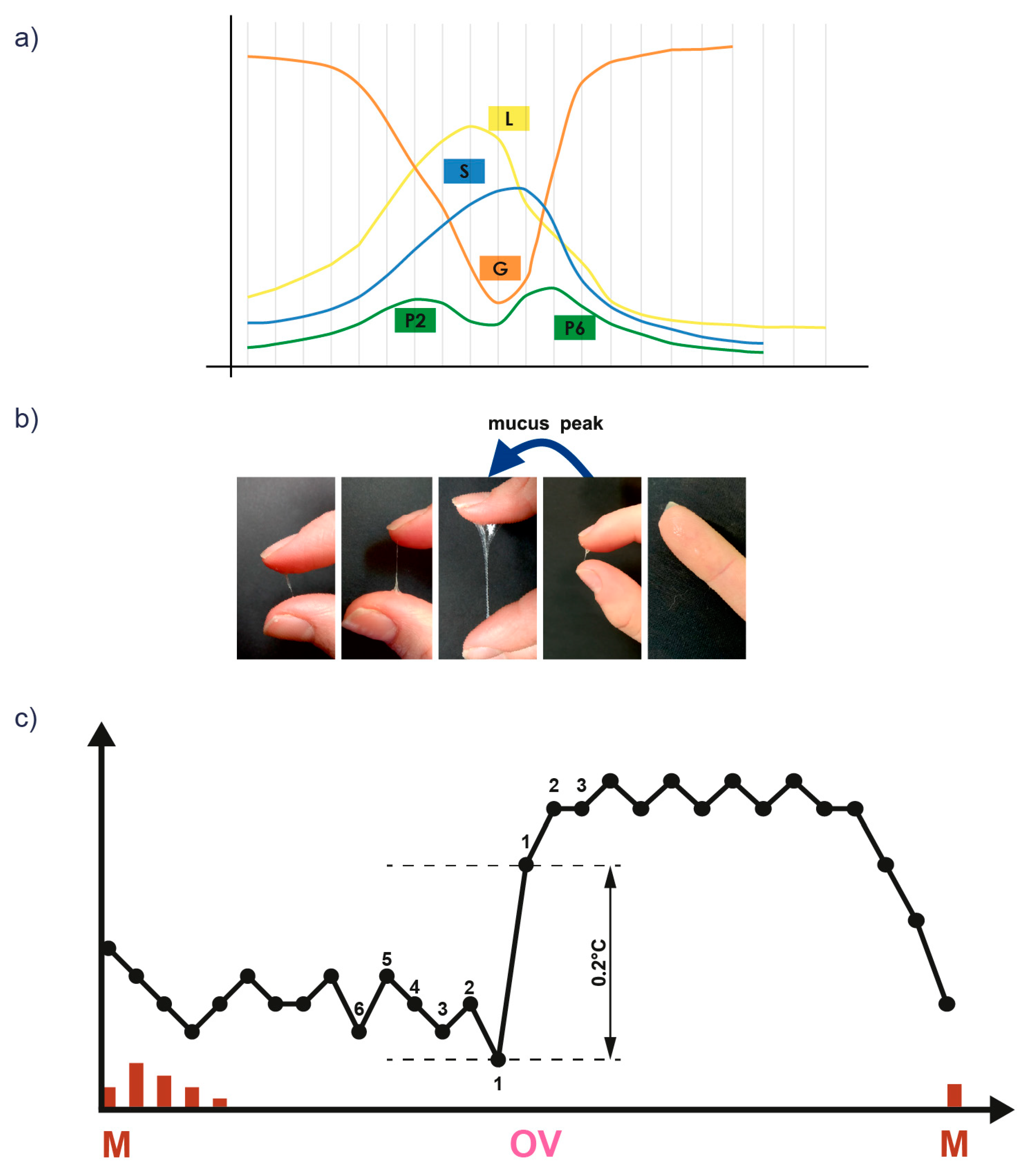 Healthcare 12 01108 g001