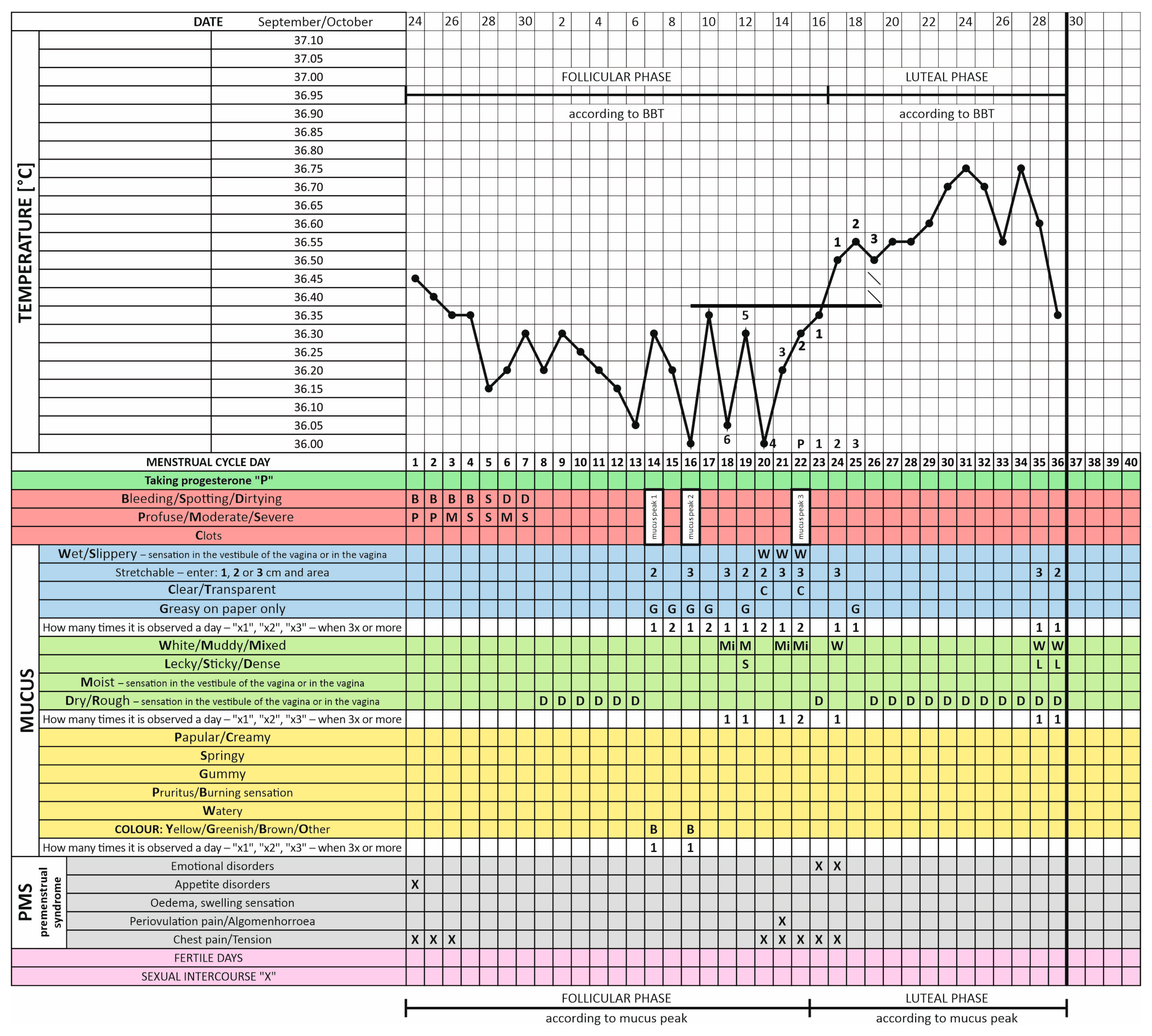 Healthcare 12 01108 g002