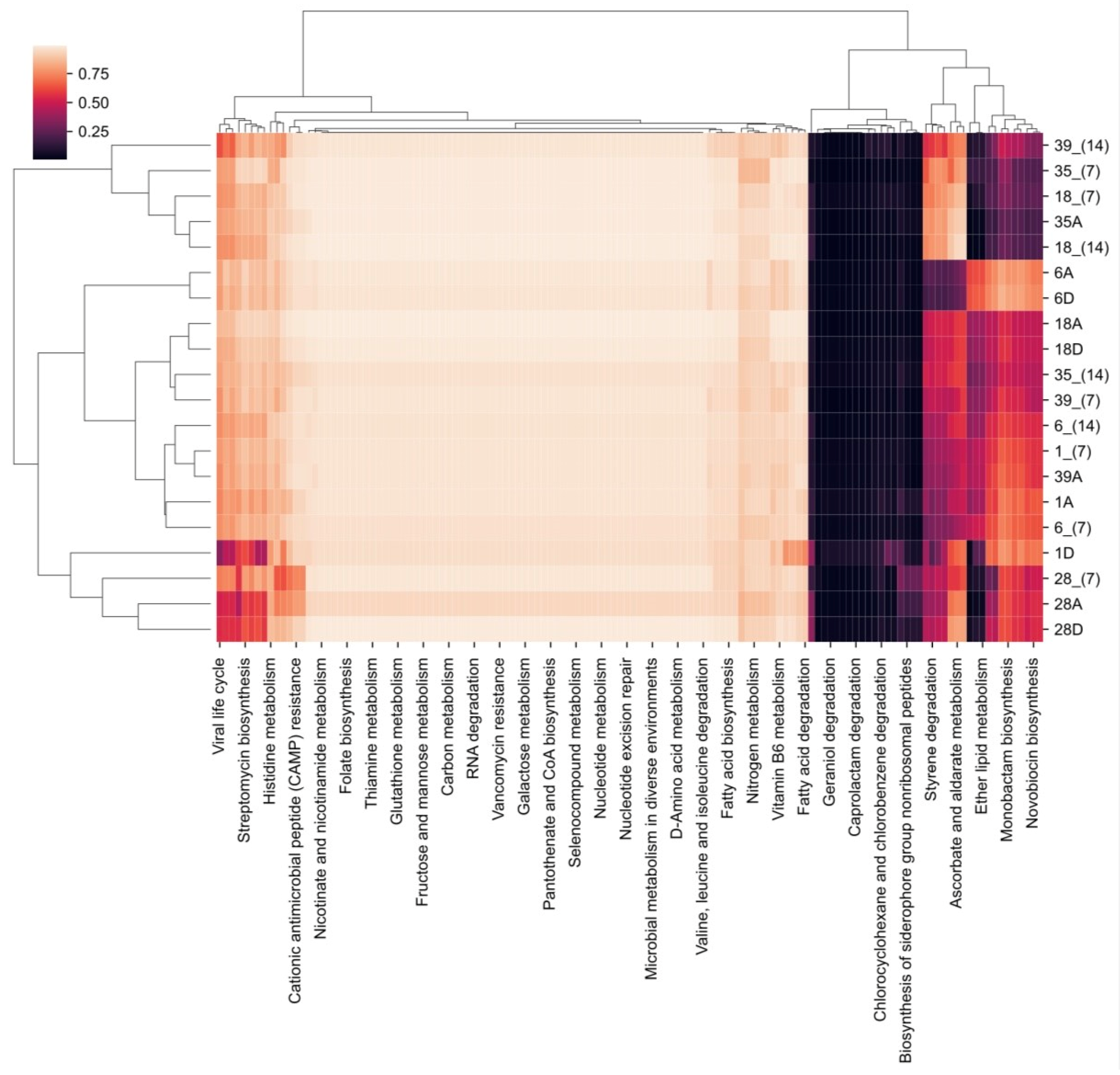 Healthcare 12 01123 g014
