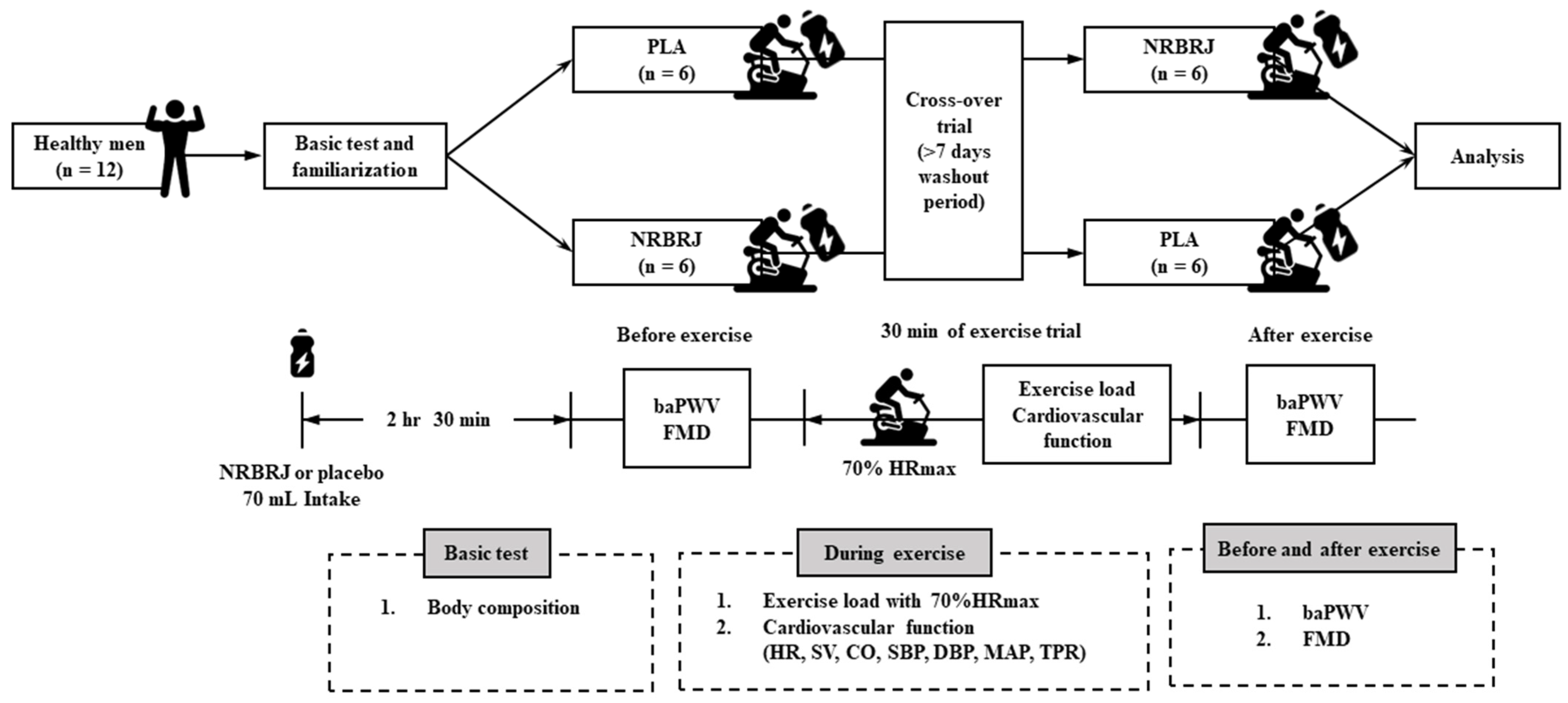 Healthcare 12 01240 g001