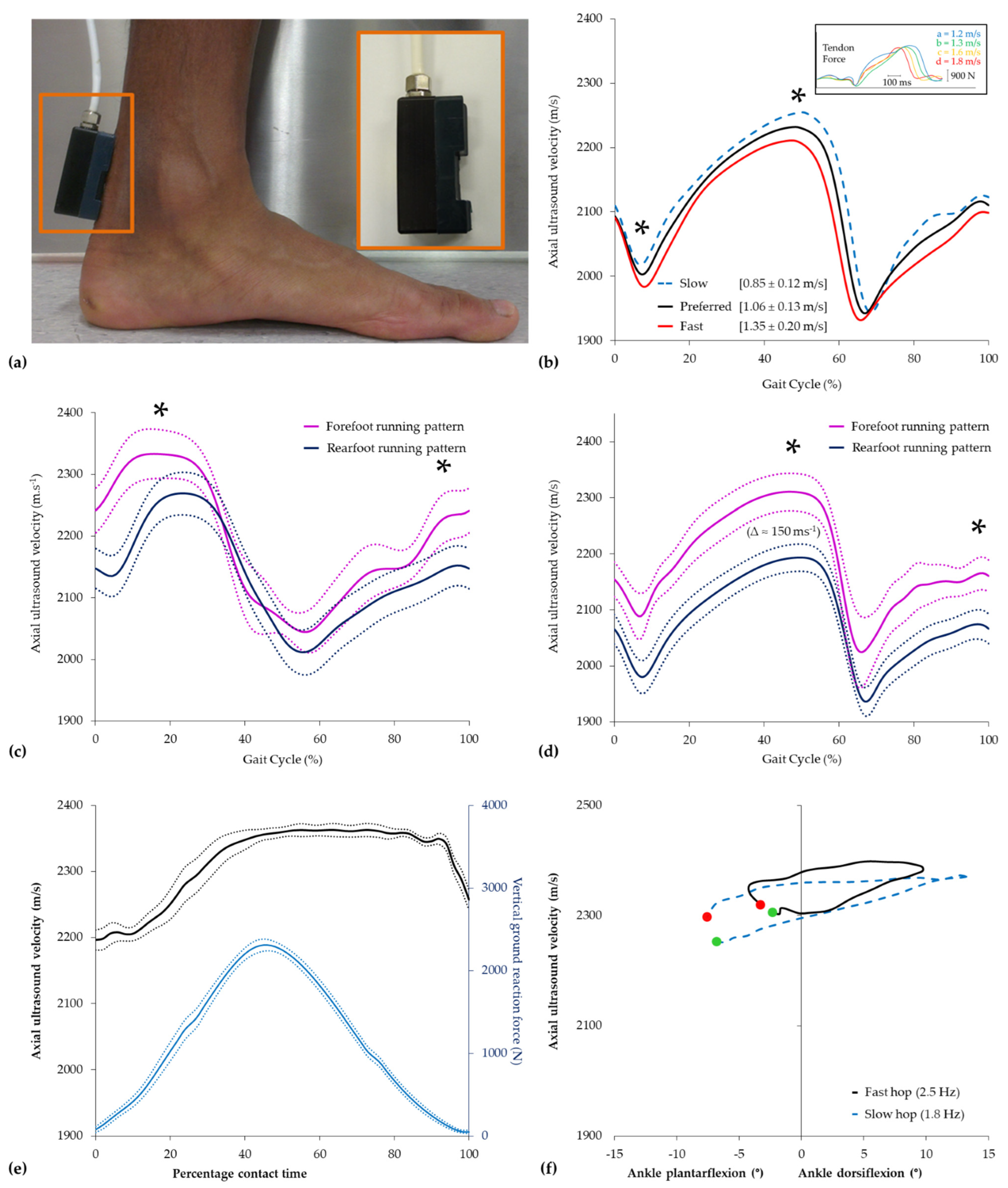 Healthcare 12 01254 g003