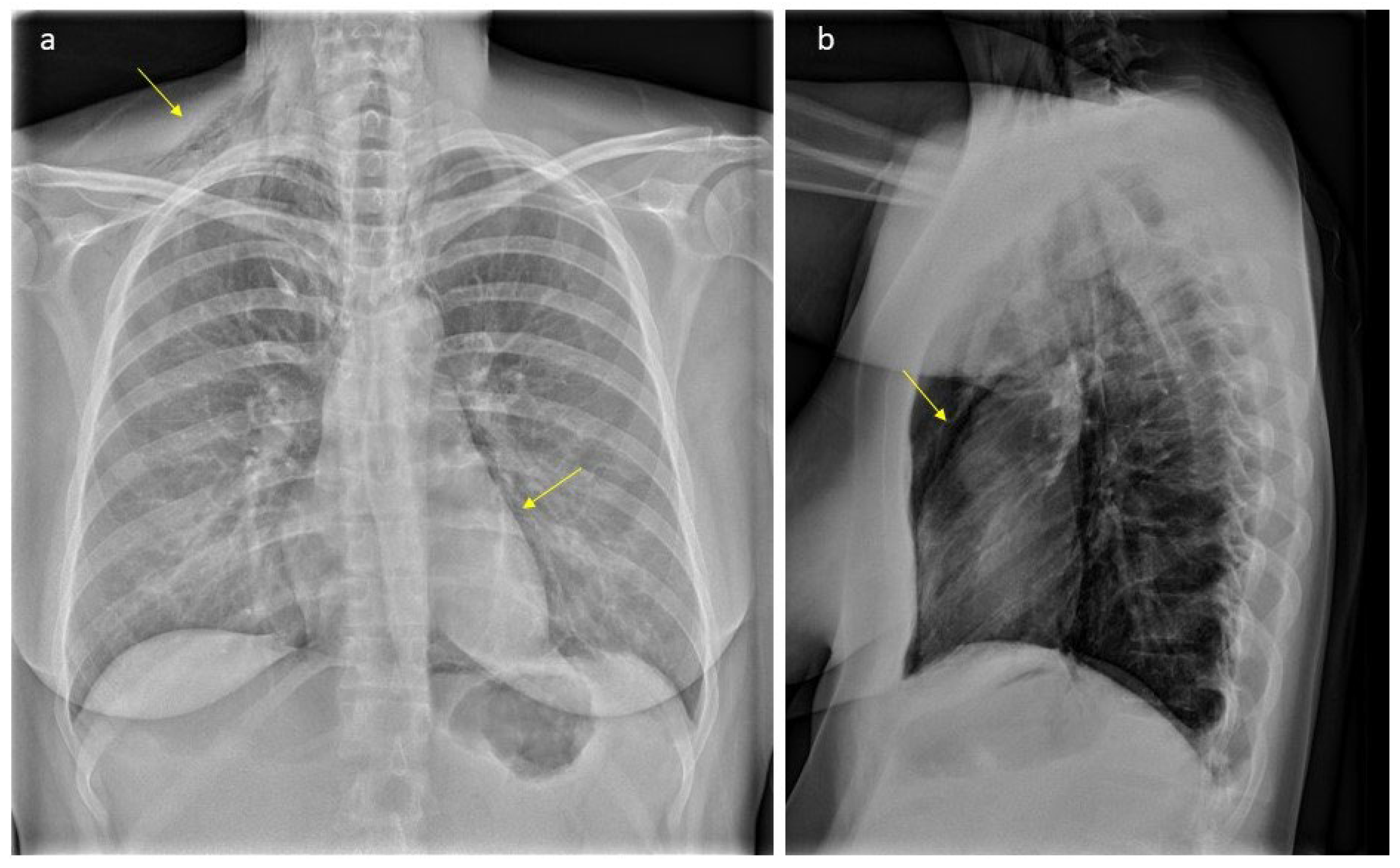 Healthcare 12 01332 g001 Healthcare 12 01332 g001