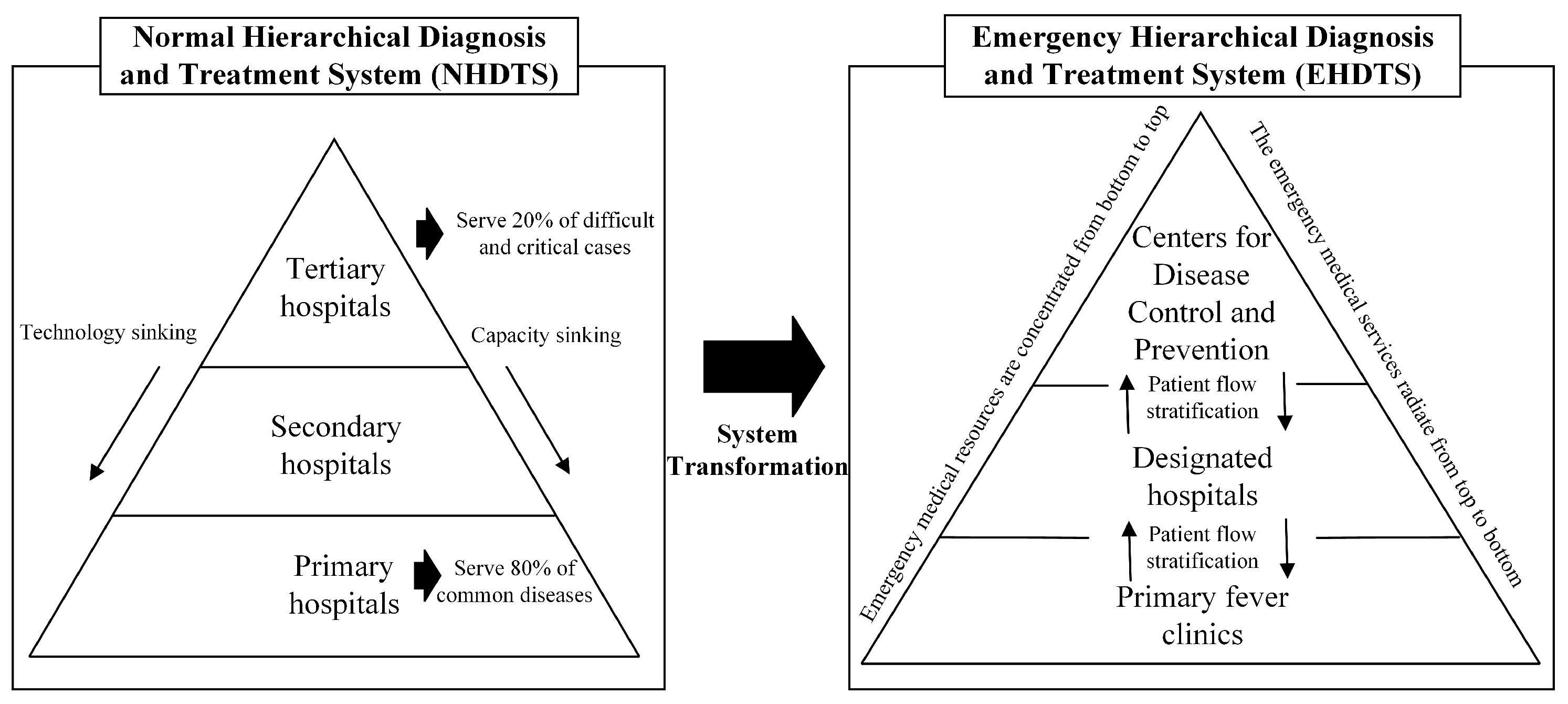 Healthcare 12 01358 g001
