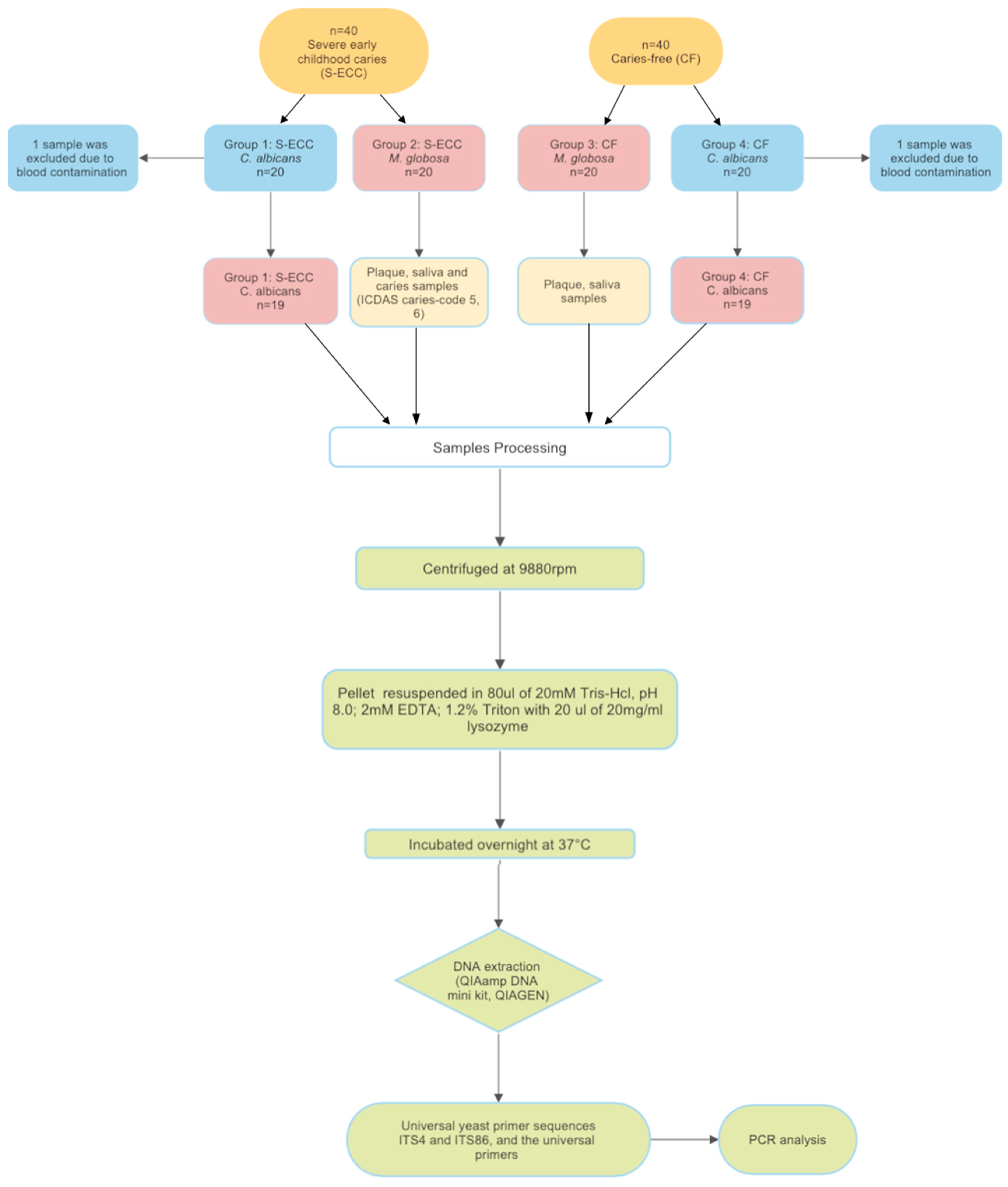 Healthcare 12 01359 g001