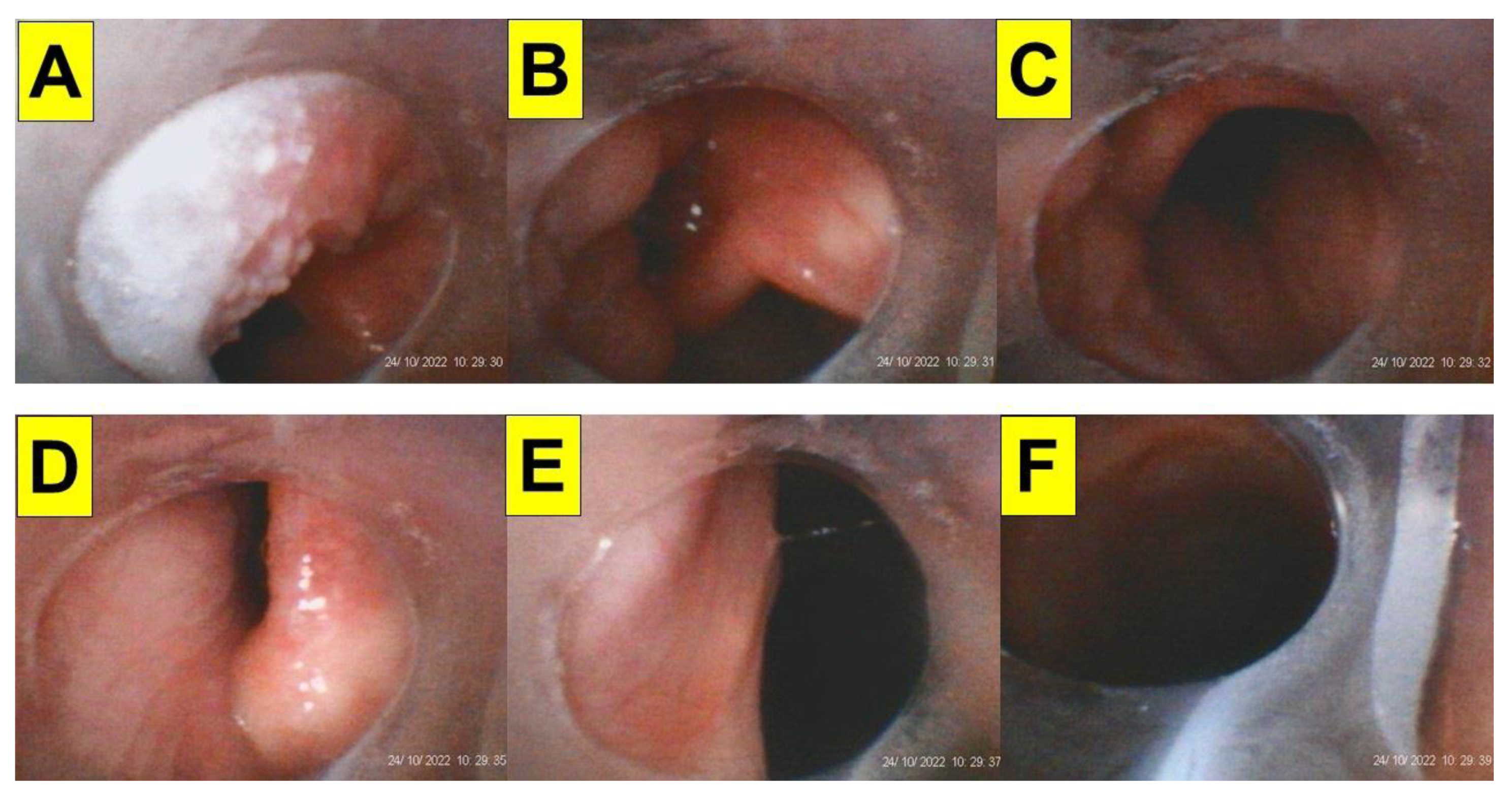 Healthcare 12 01404 g006