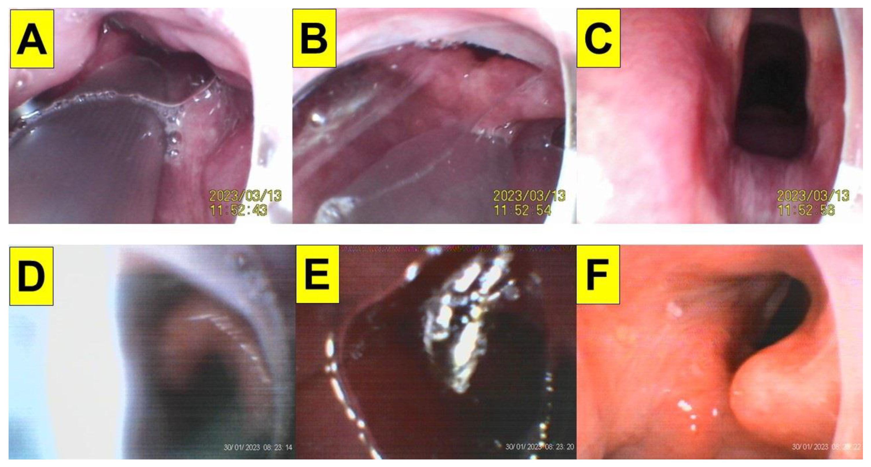 Healthcare 12 01404 g007