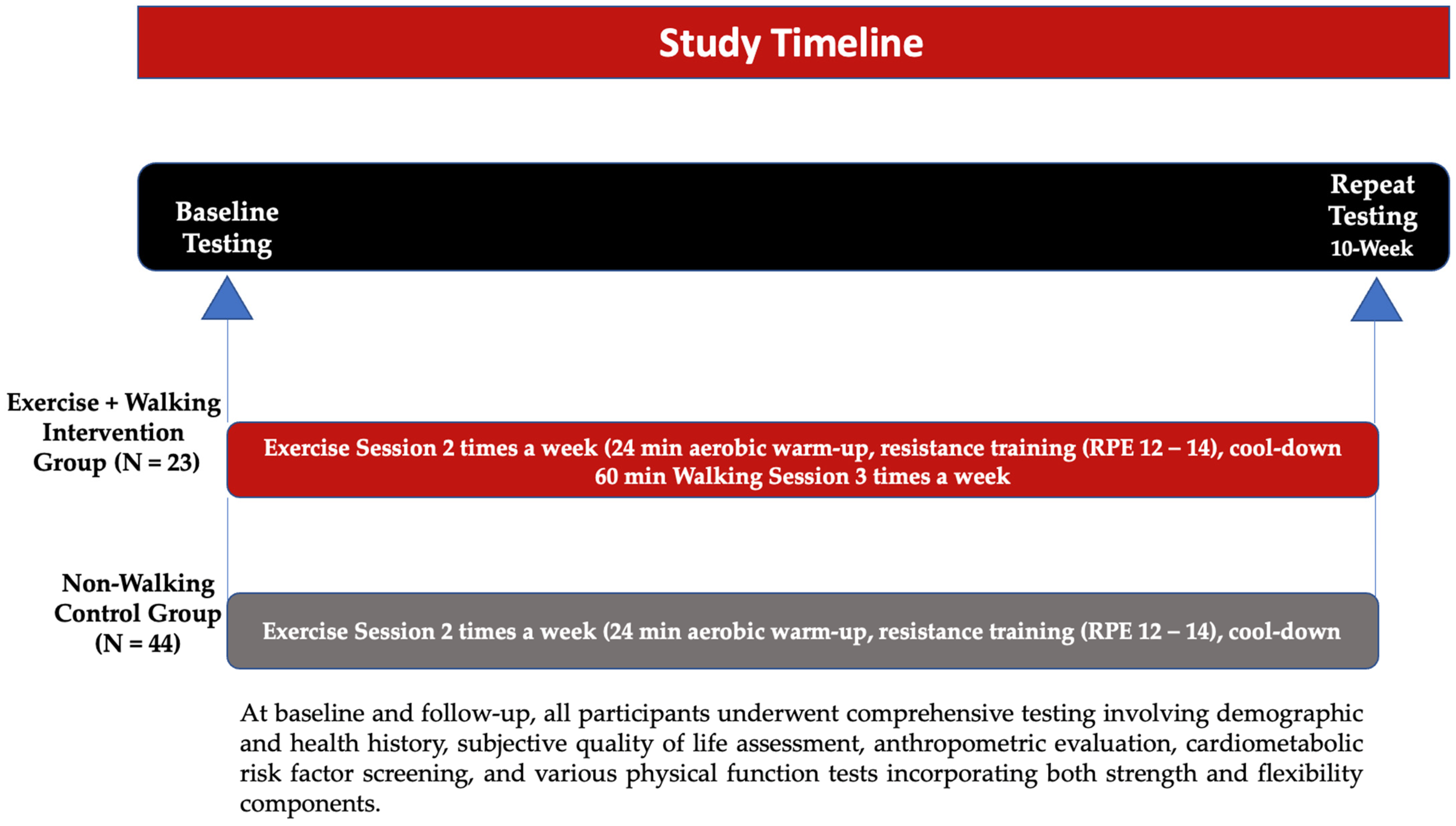 Healthcare 12 01528 g001
