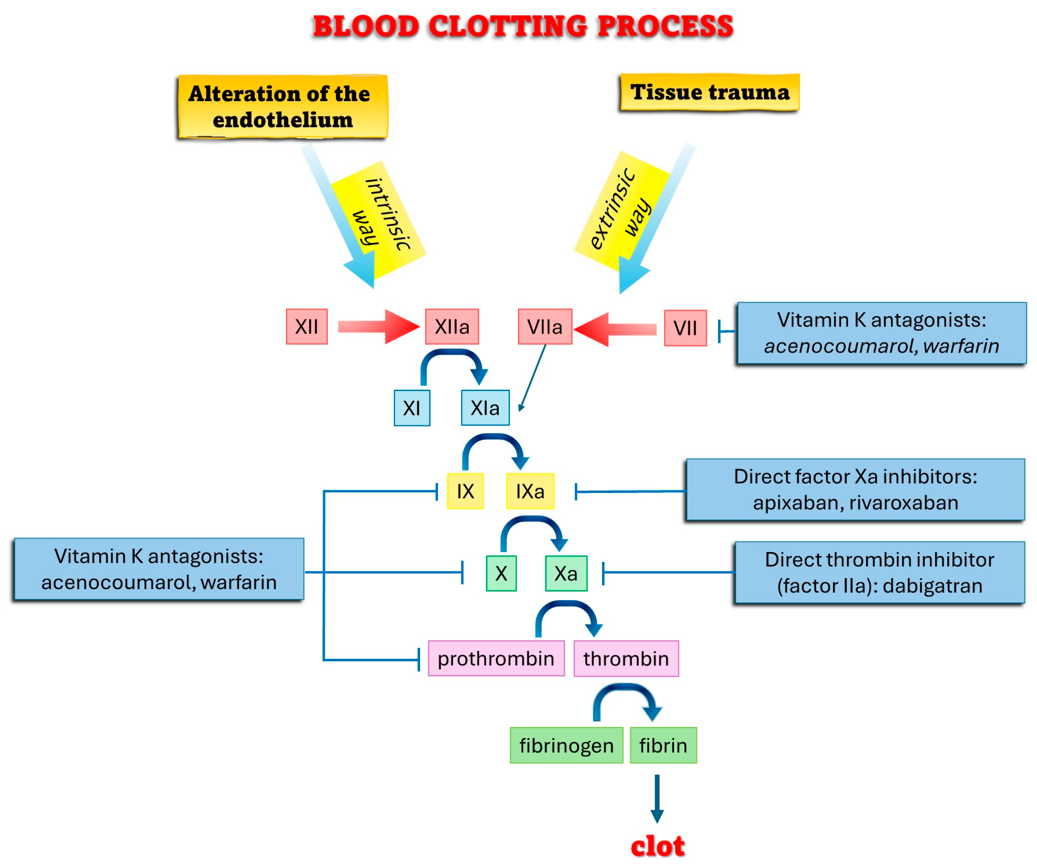 Healthcare 12 01537 g001