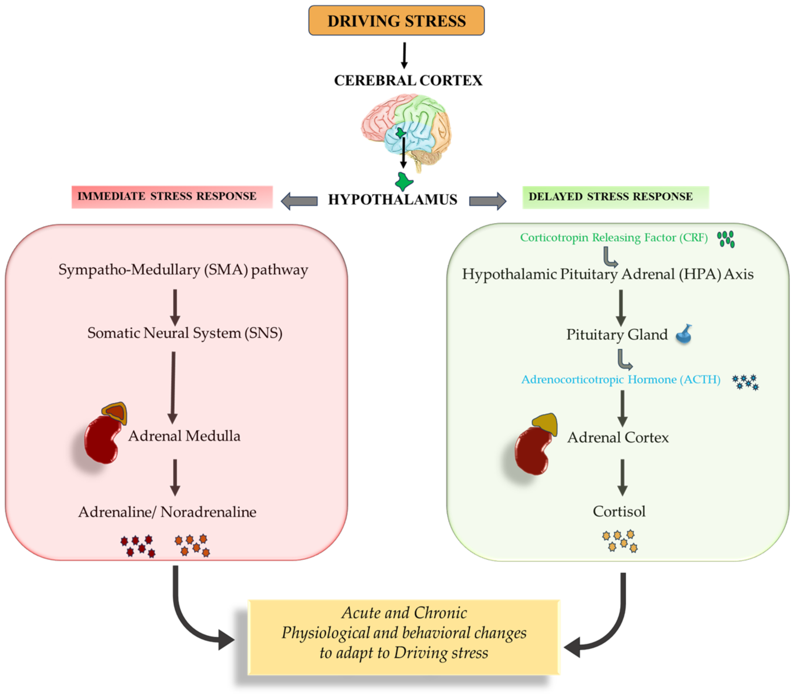 Healthcare 12 01538 g005