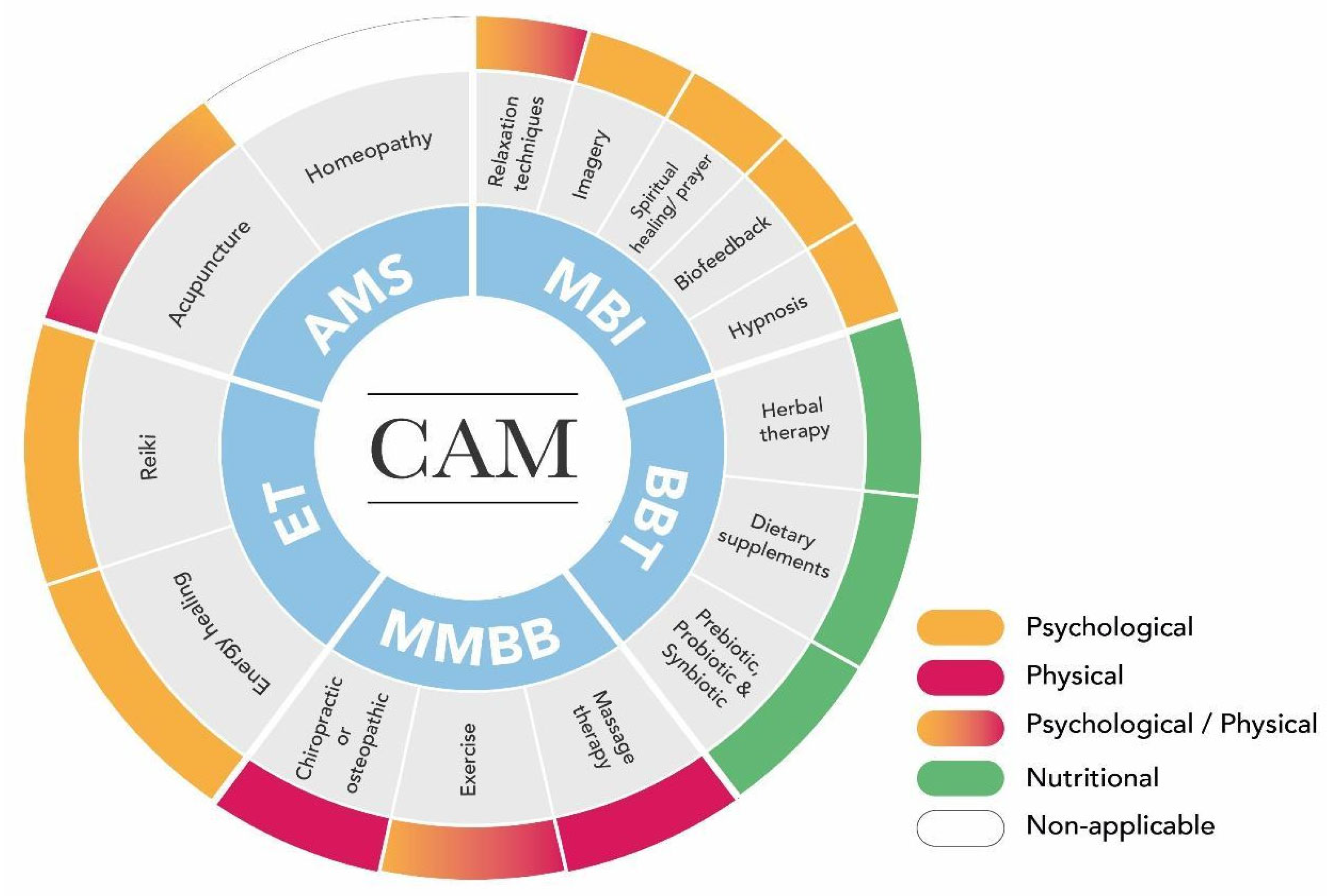 Complementary and Alternative Medicine (CAM) Practices: A 