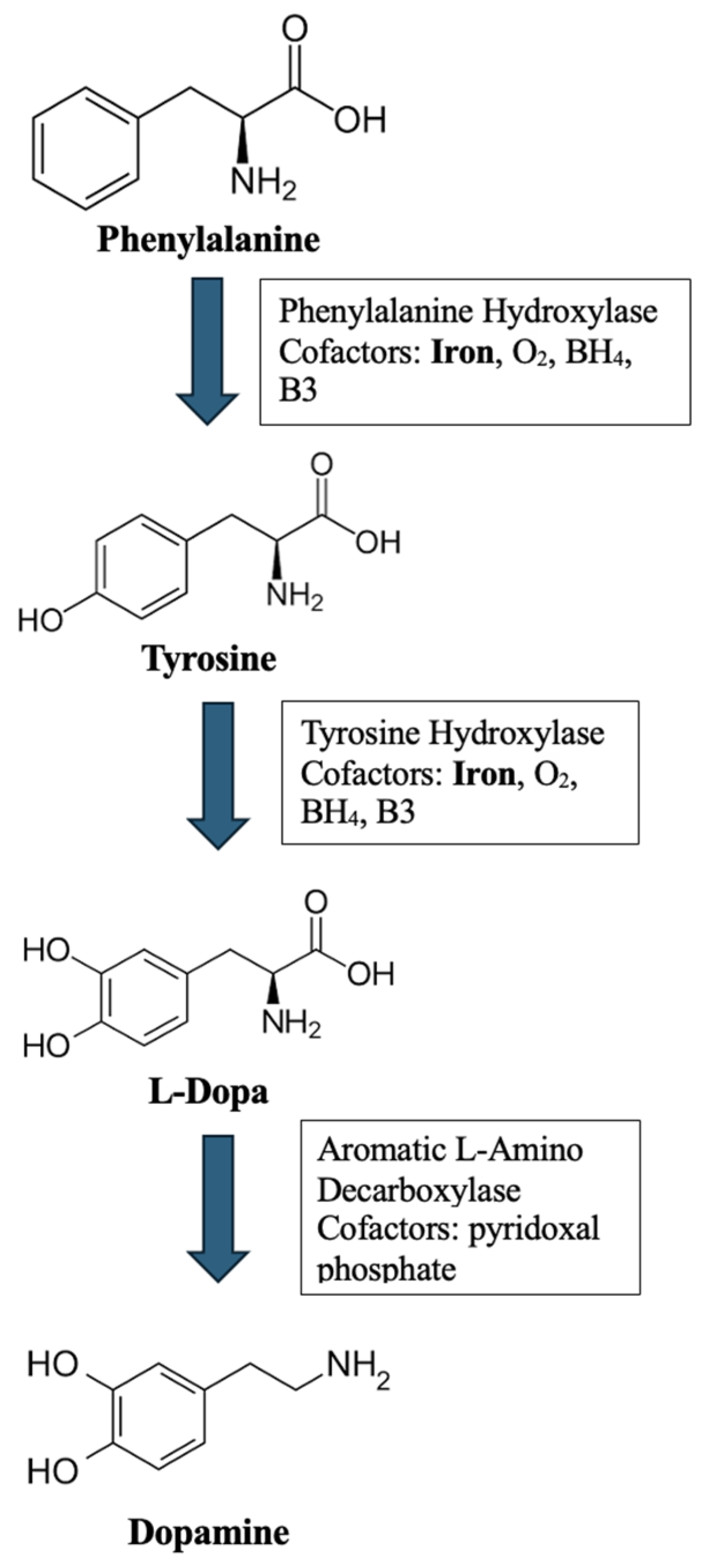 Healthcare 12 01570 g002
