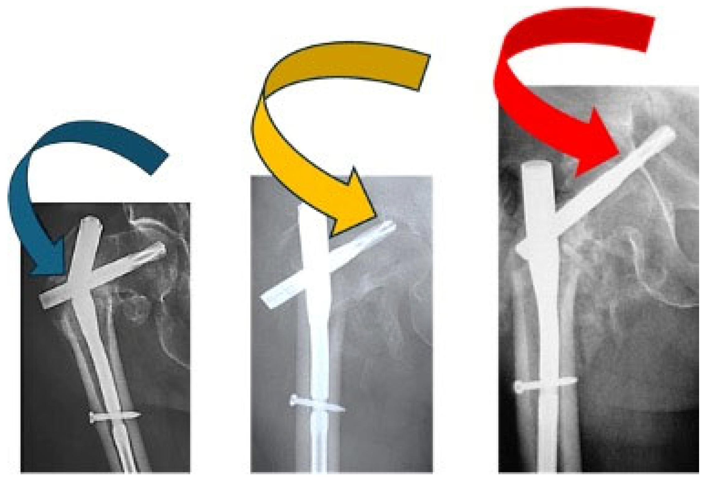 Healthcare 12 01578 g001