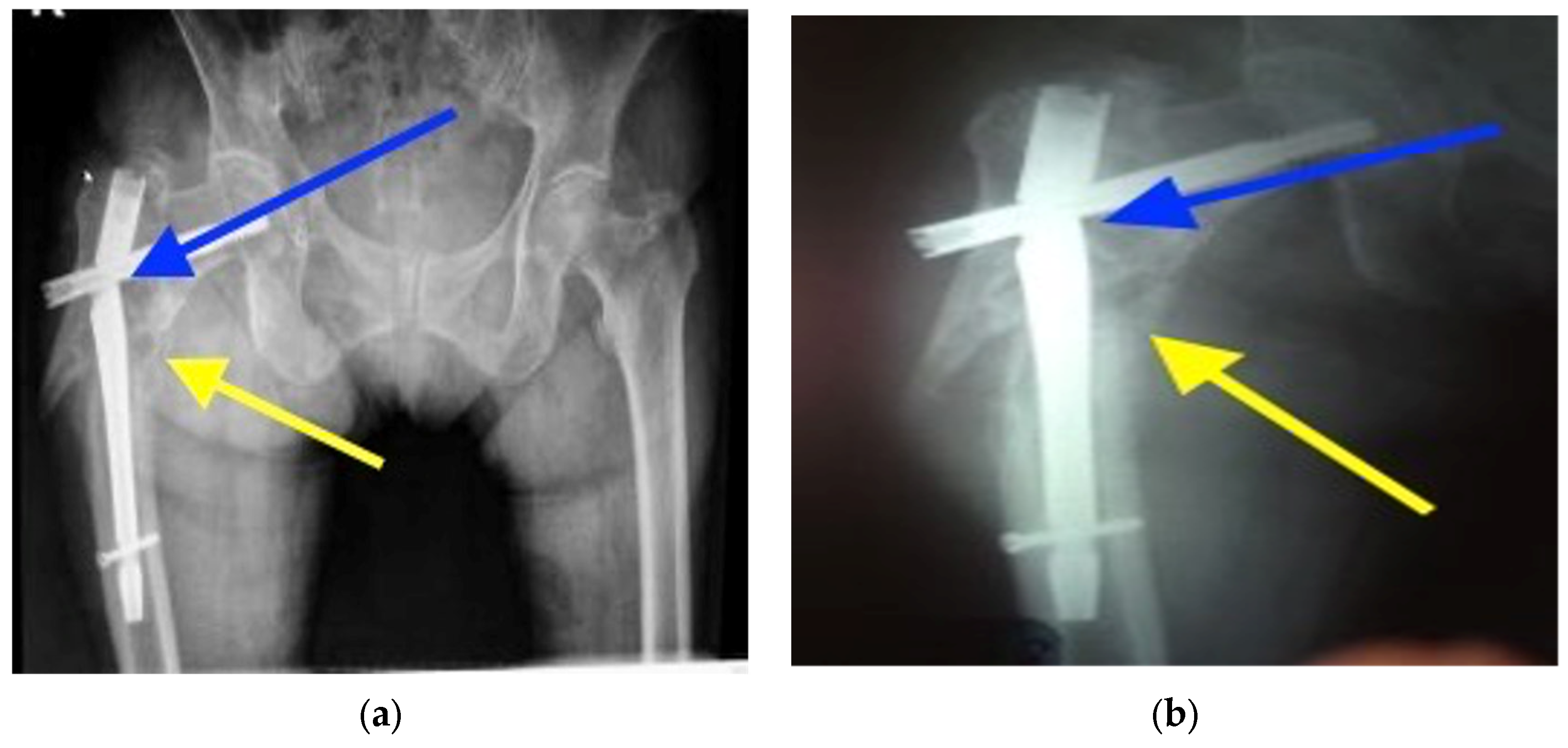 Healthcare 12 01578 g003