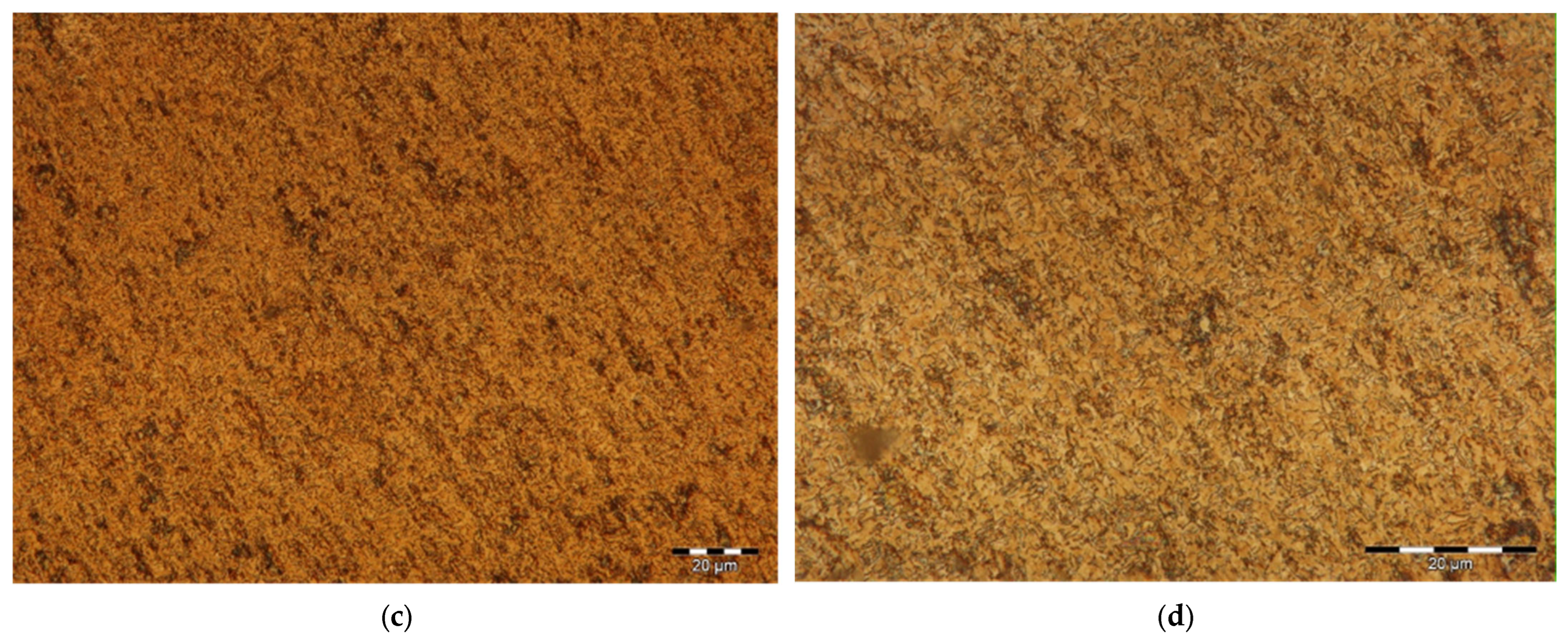 Healthcare 12 01578 g007b