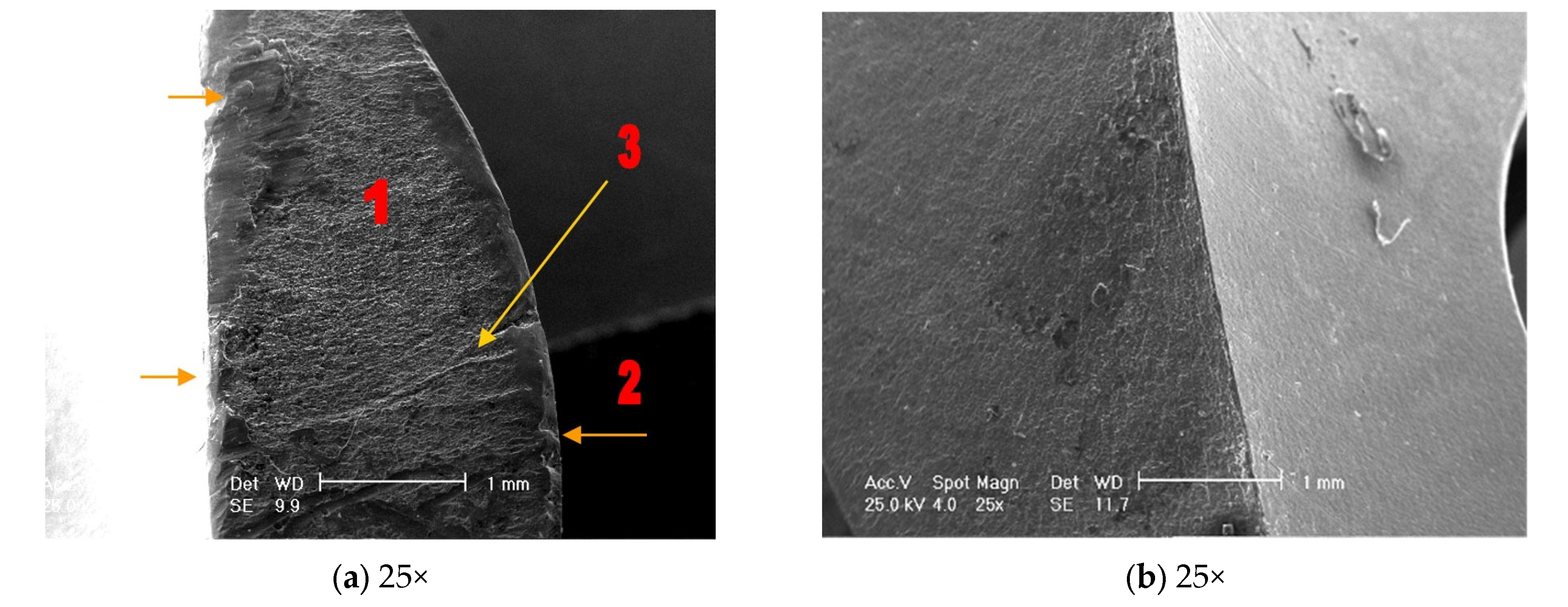 Healthcare 12 01578 g008a