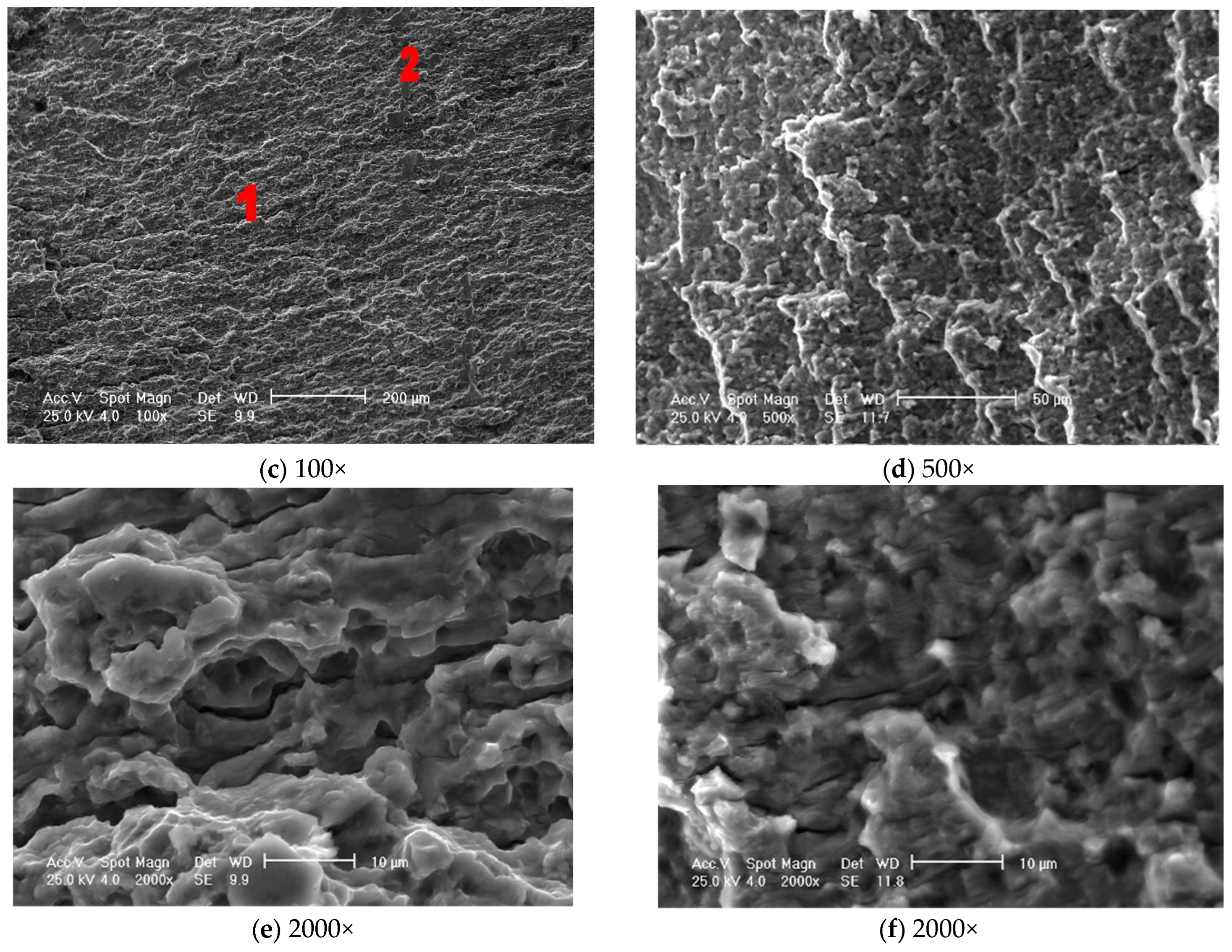 Healthcare 12 01578 g008b