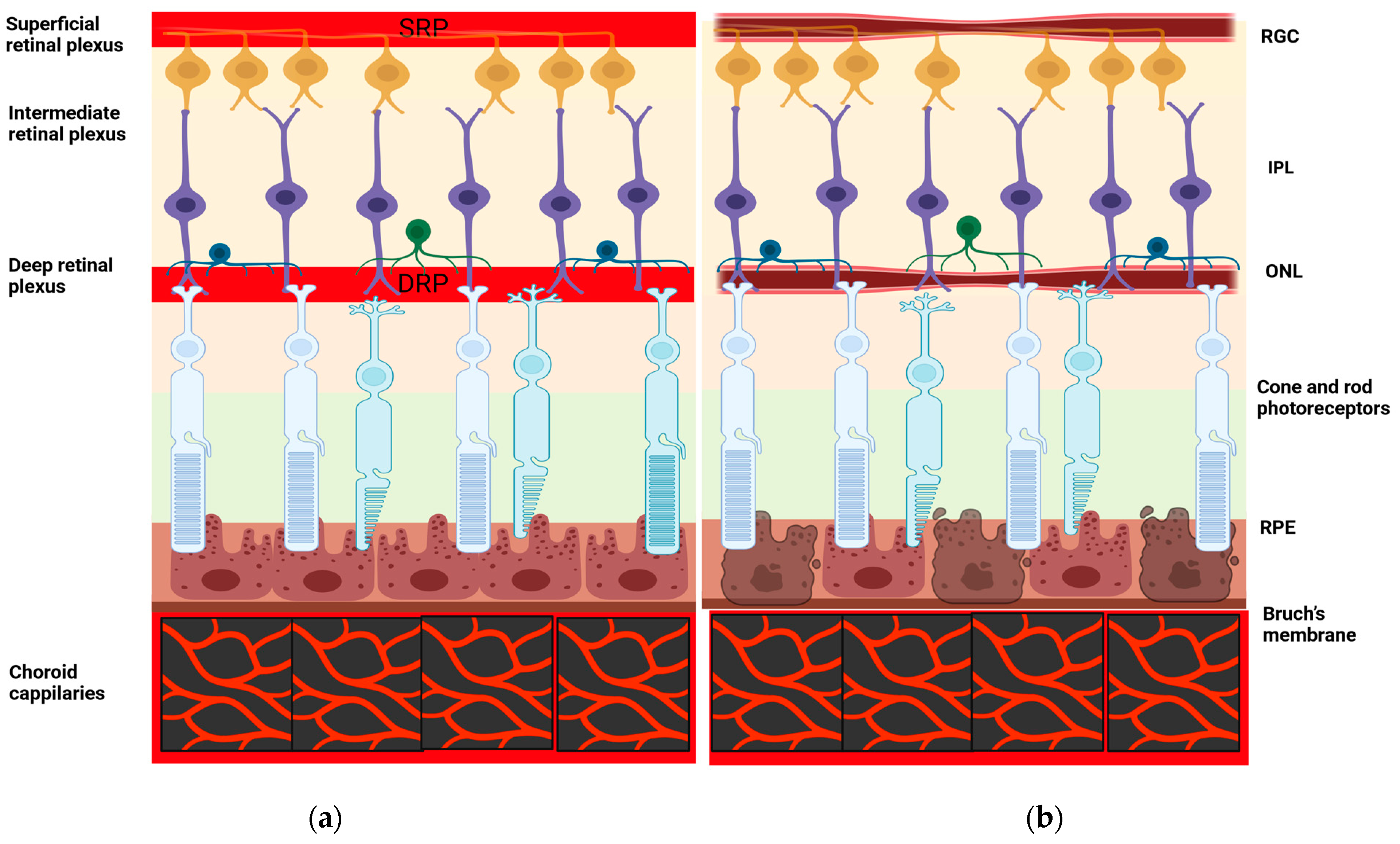 Healthcare 12 01589 g001