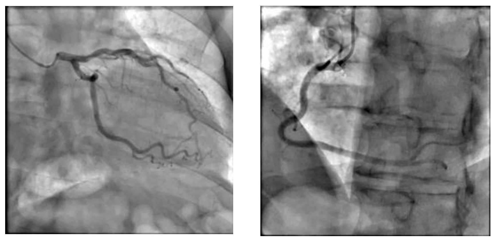 Healthcare 12 01602 g004