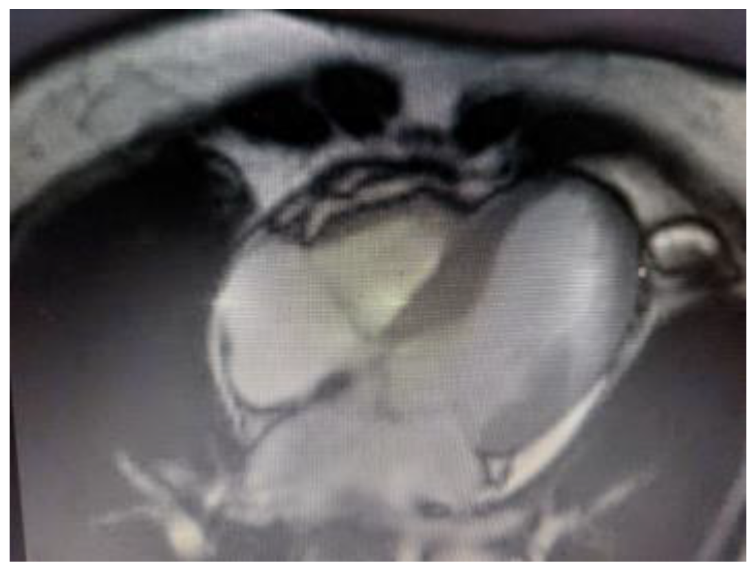 Healthcare 12 01602 g005