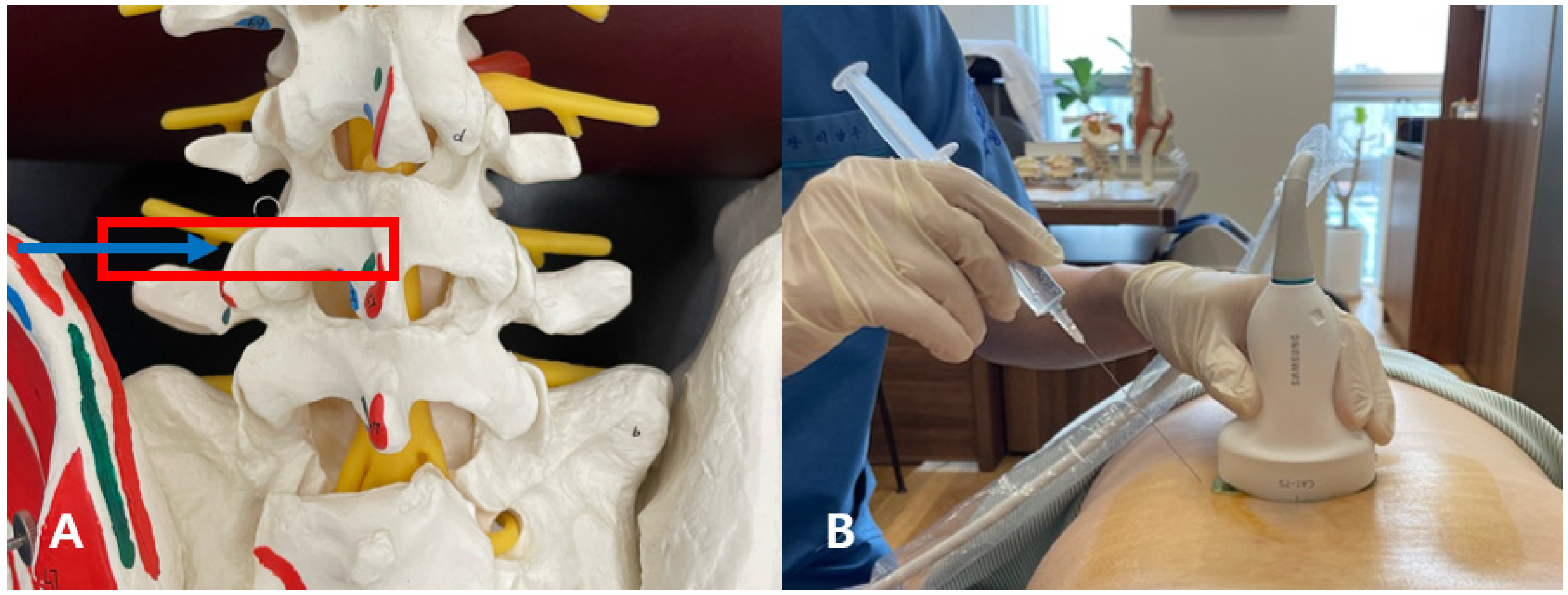Integrative Medicine Focusing on Ultrasound-Guided High-Dose