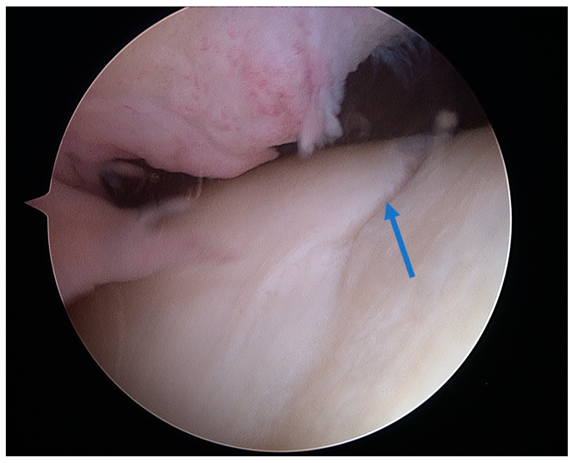 Healthcare 12 01648 g005 Healthcare 12 01648 g005