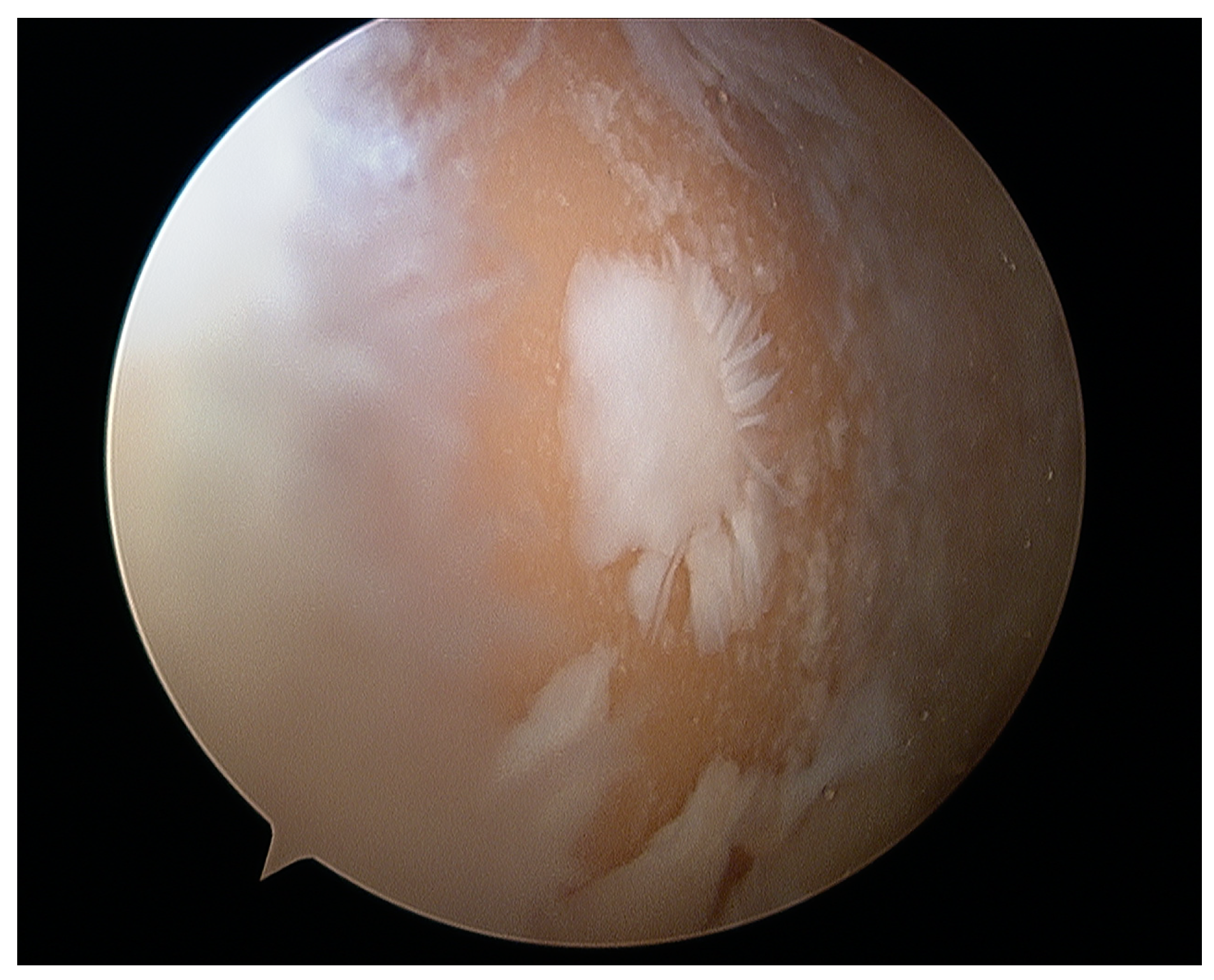 Healthcare 12 01648 g006 Healthcare 12 01648 g006