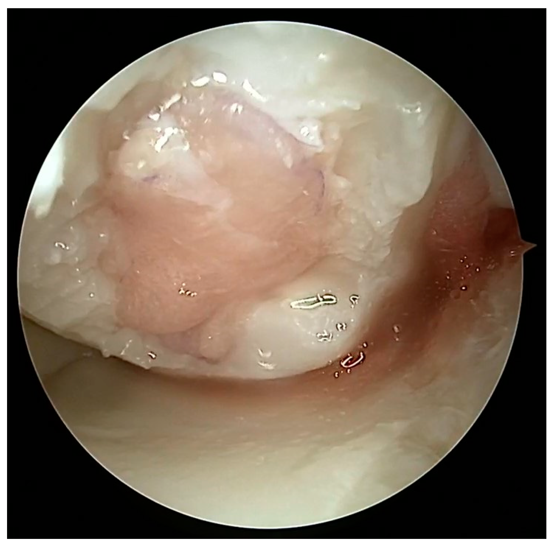 Healthcare 12 01648 g010 Healthcare 12 01648 g010