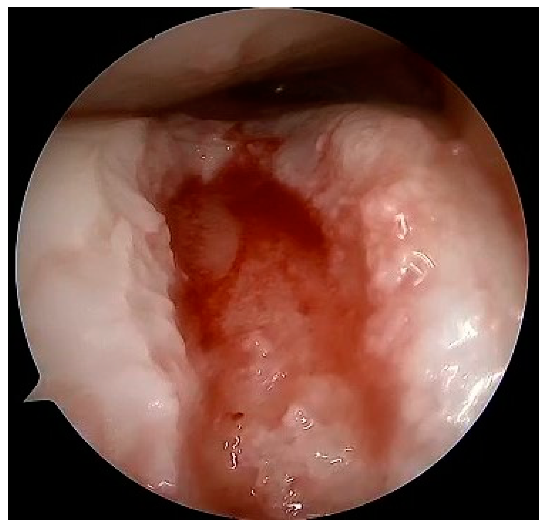 Healthcare 12 01648 g011 Healthcare 12 01648 g011