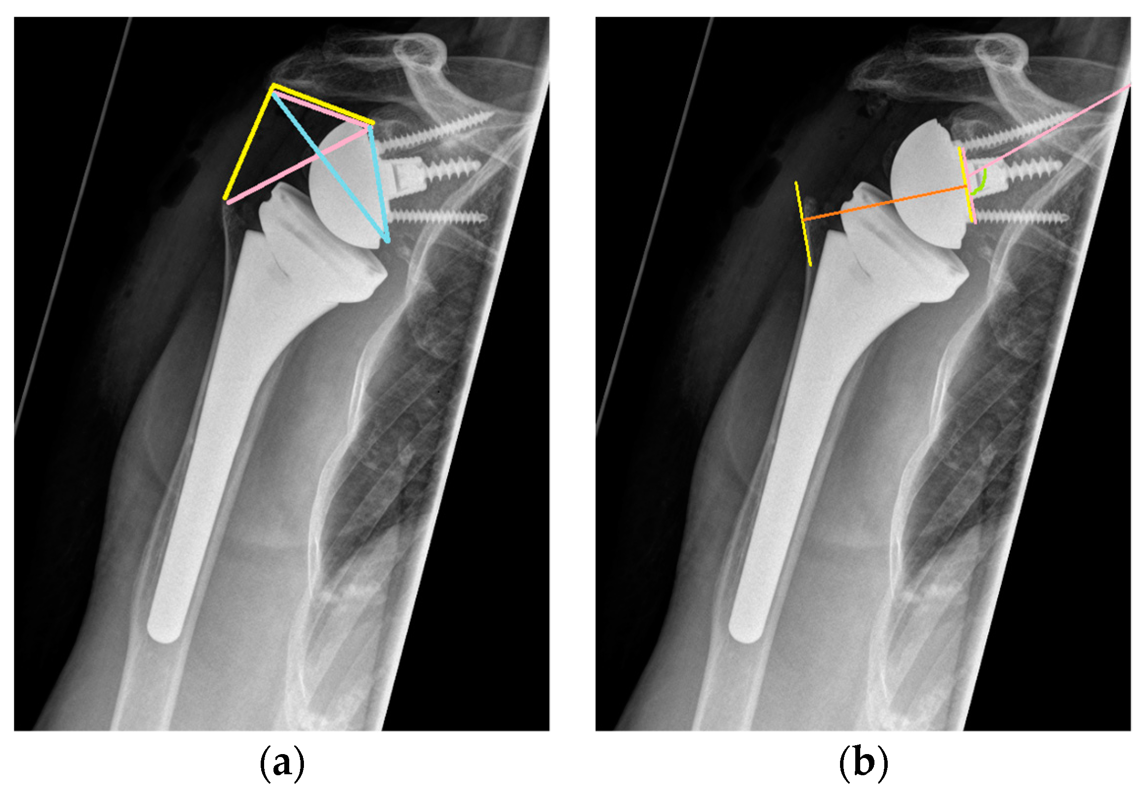 Healthcare 12 01695 g001