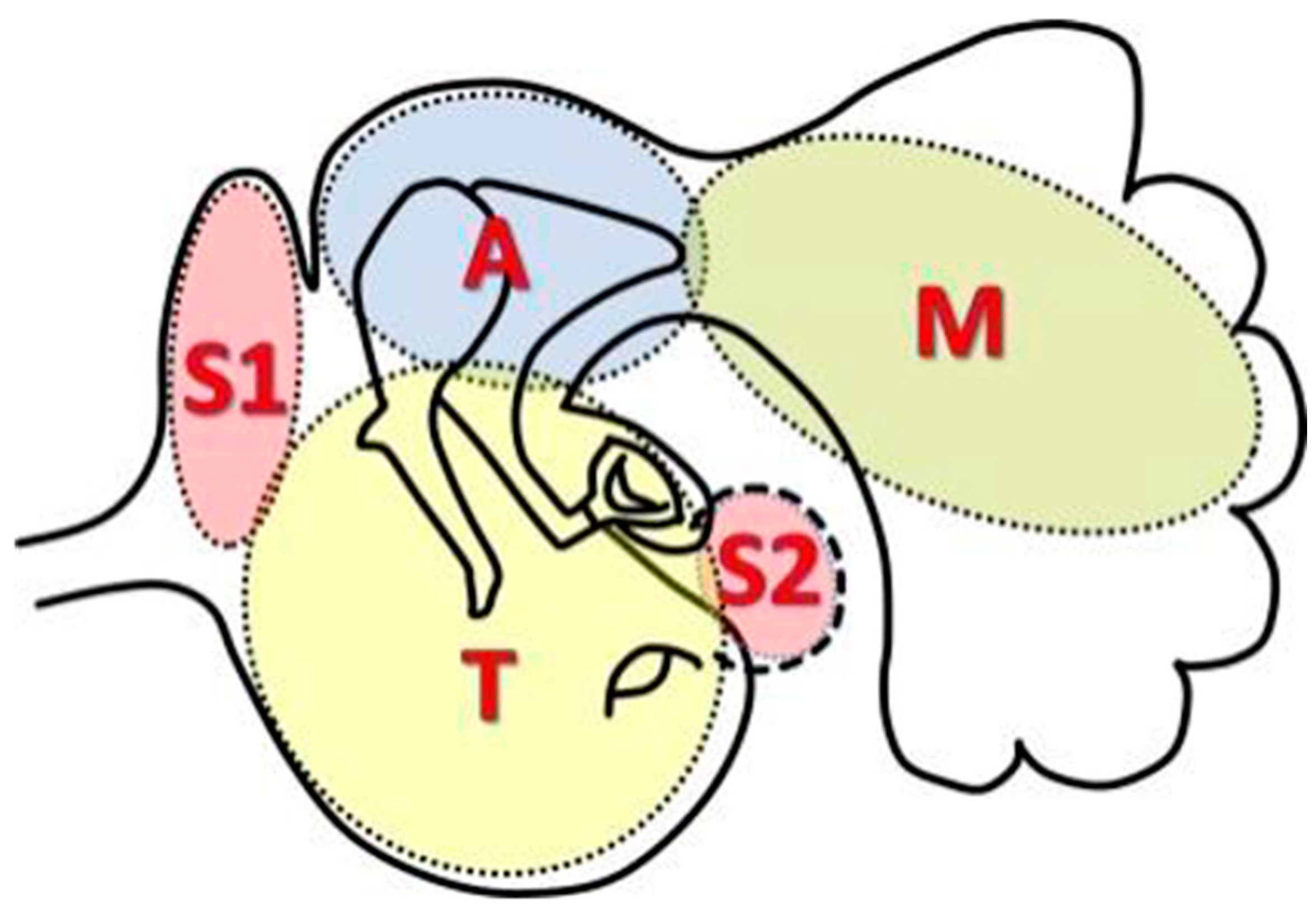 Healthcare 12 01737 g002