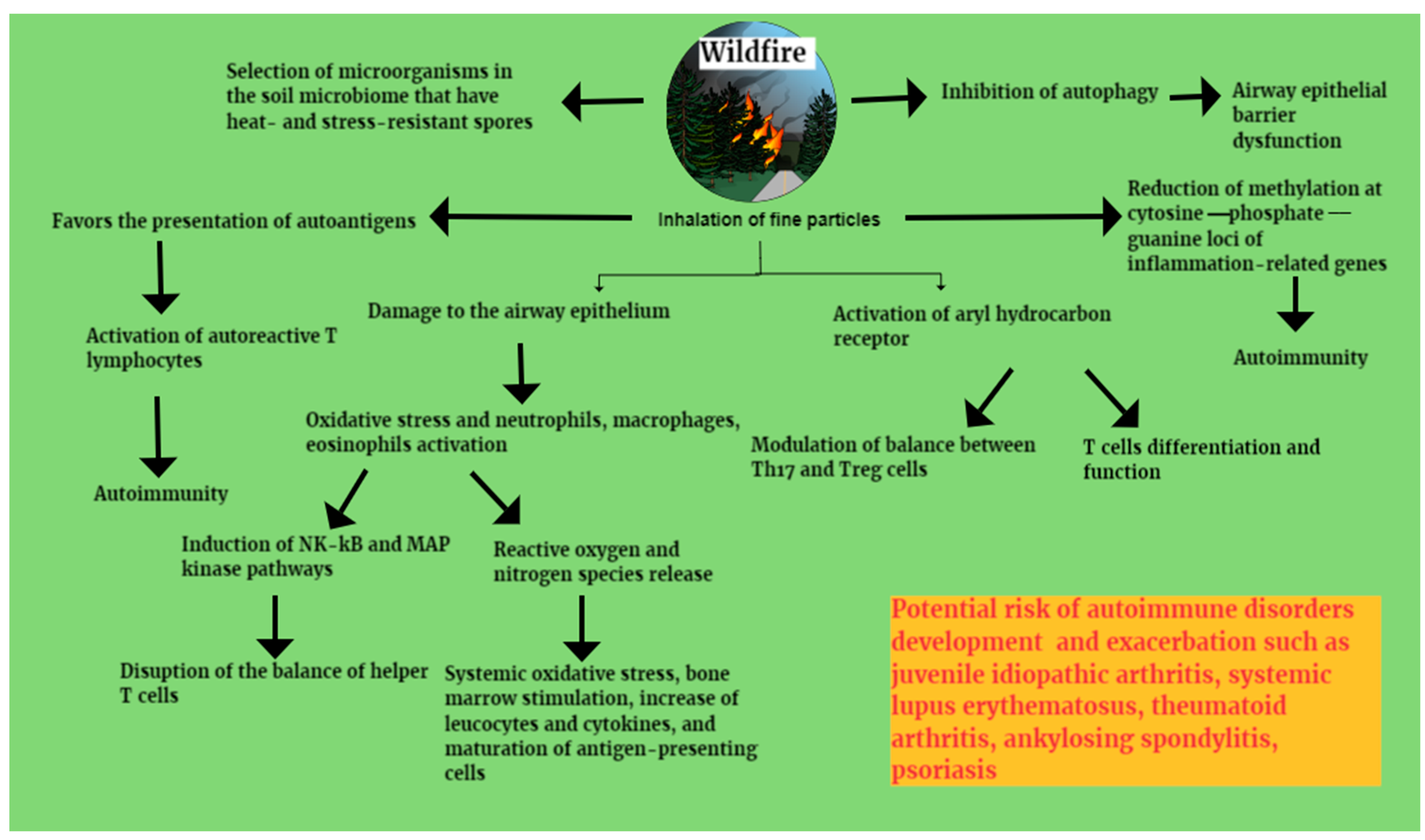 Healthcare 12 01767 g001 Healthcare 12 01767 g001