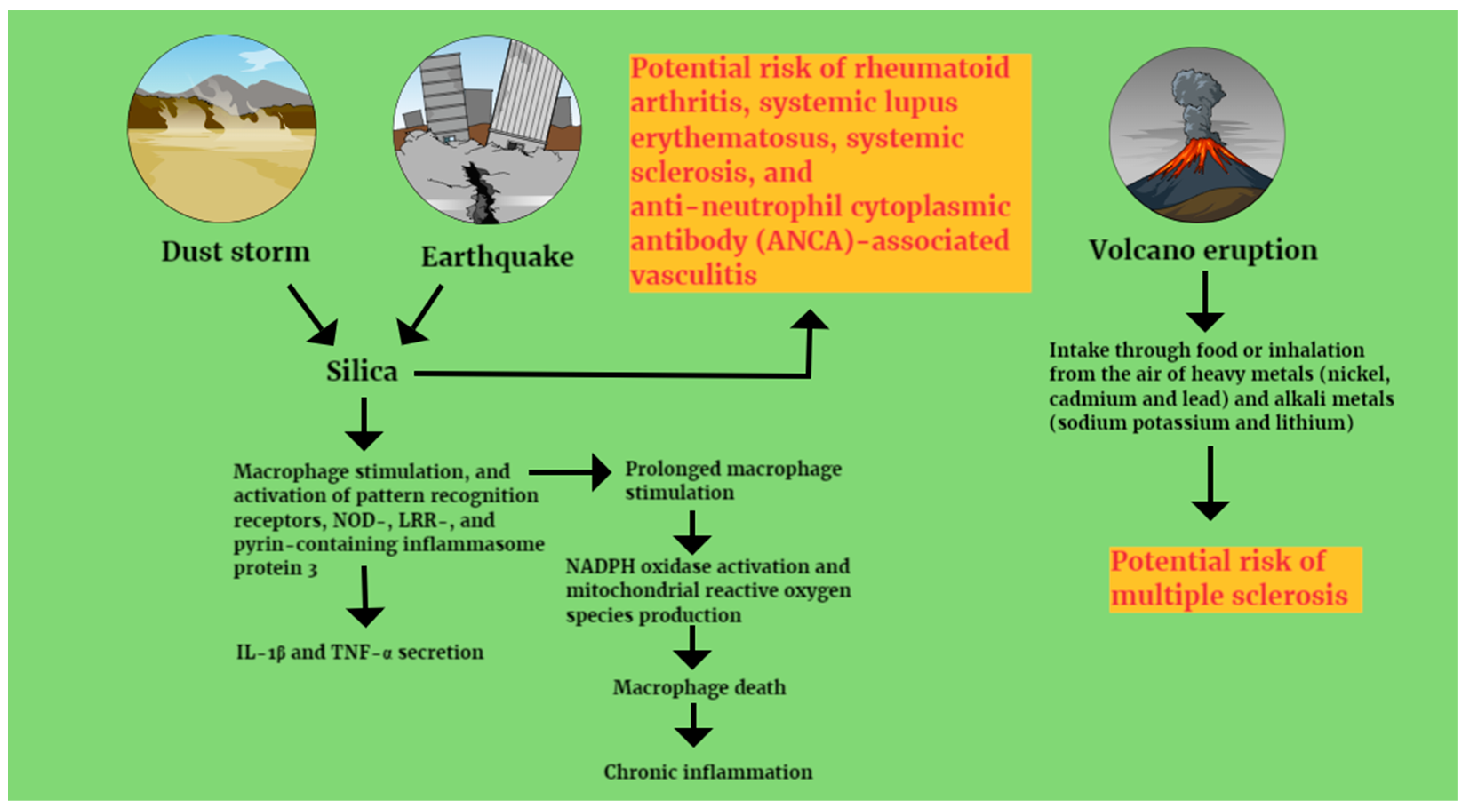 Healthcare 12 01767 g002 Healthcare 12 01767 g002