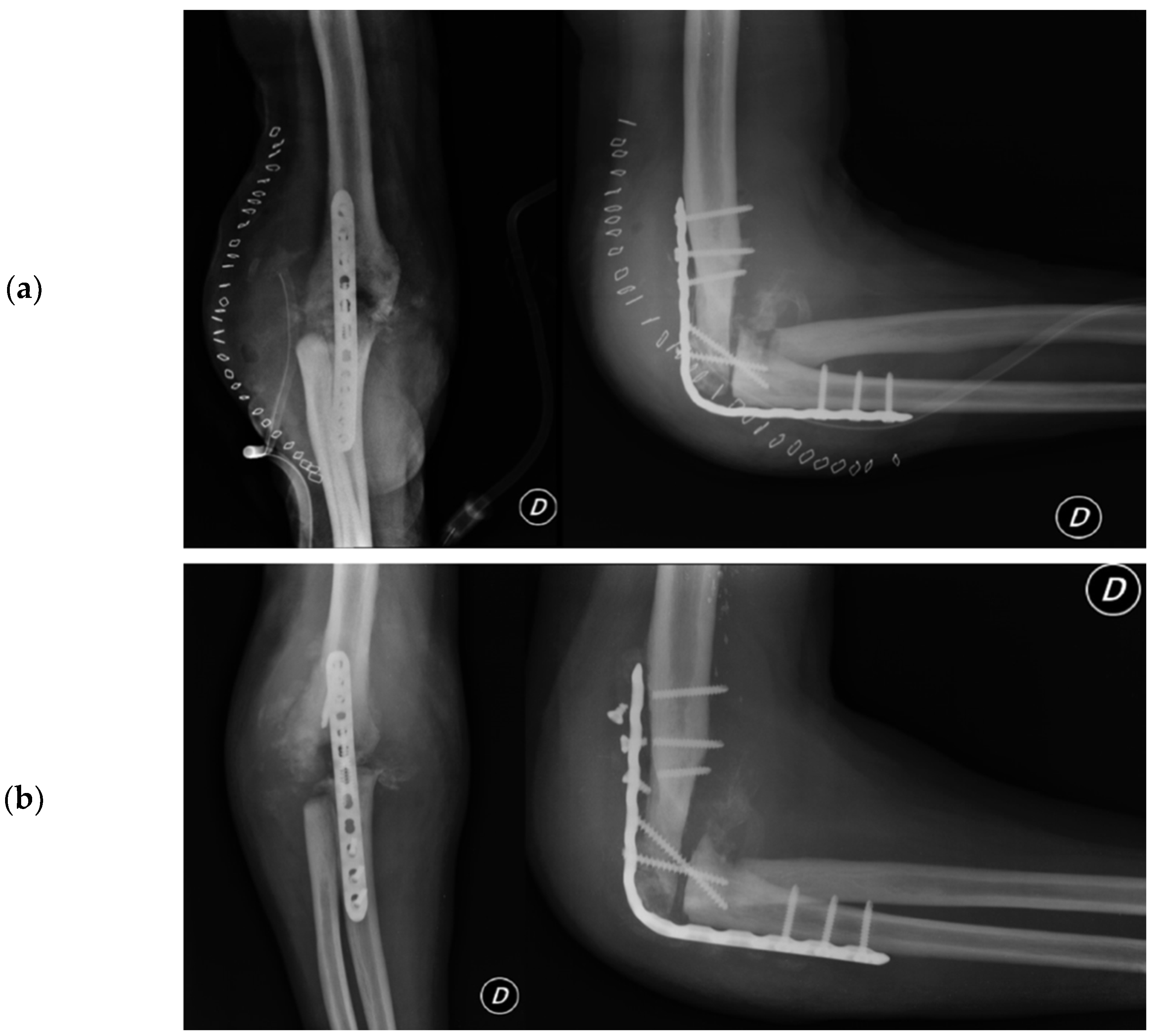 Healthcare 12 01776 g006