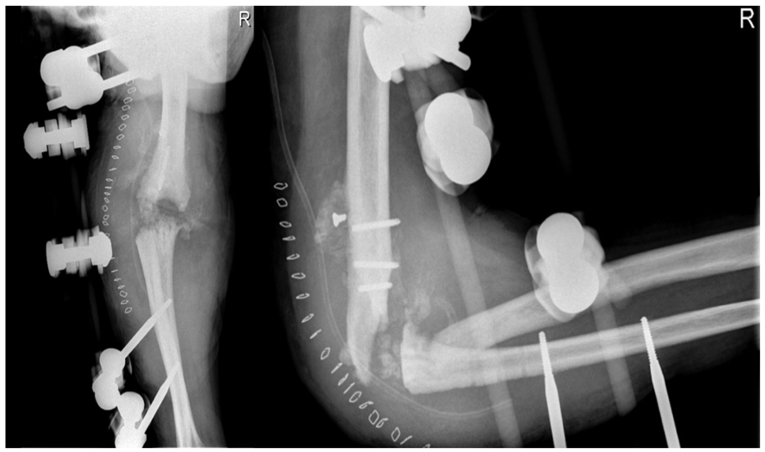 Healthcare 12 01776 g007