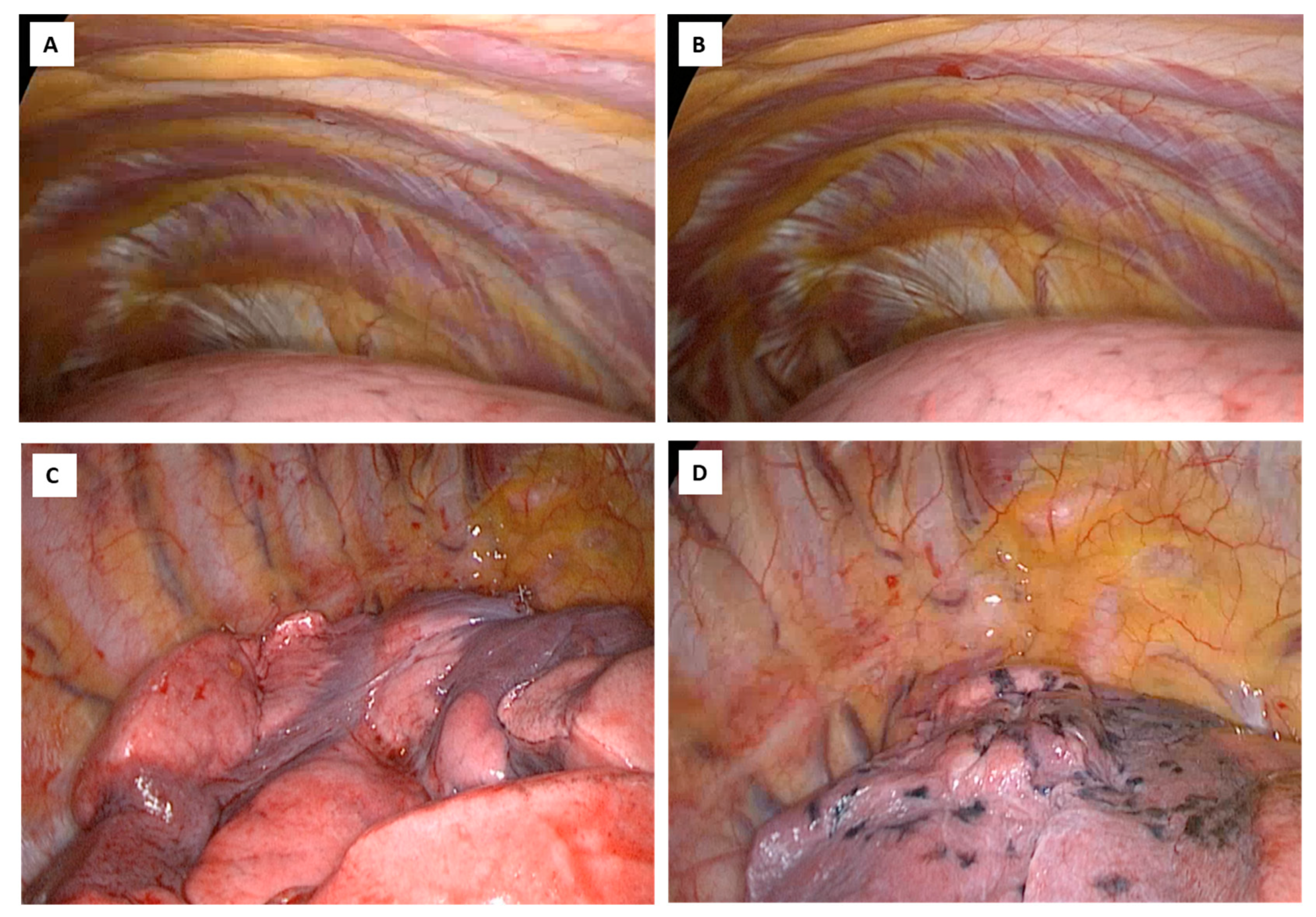 Healthcare 12 01843 g004 Healthcare 12 01843 g004