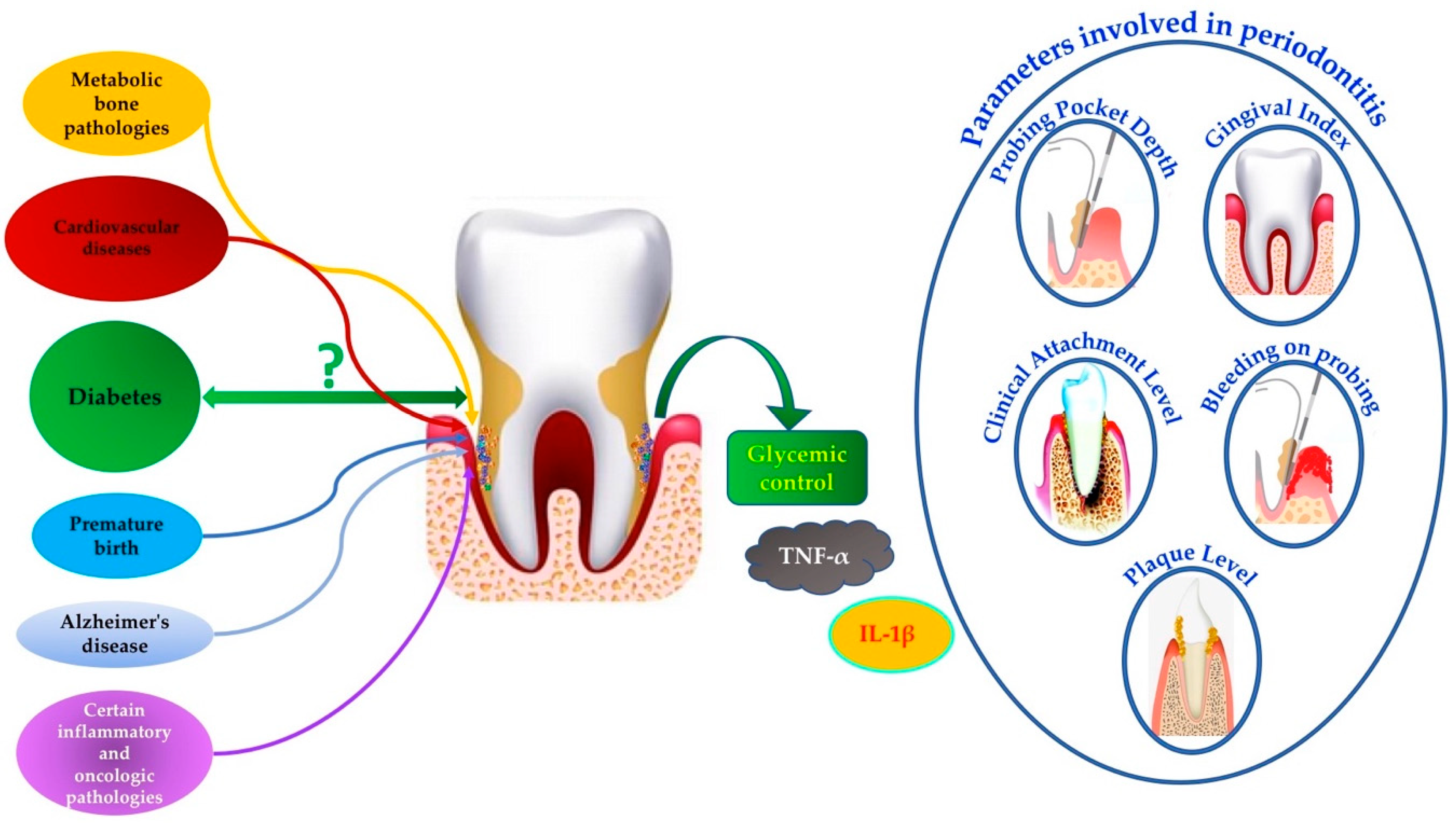 Healthcare 12 01844 g001