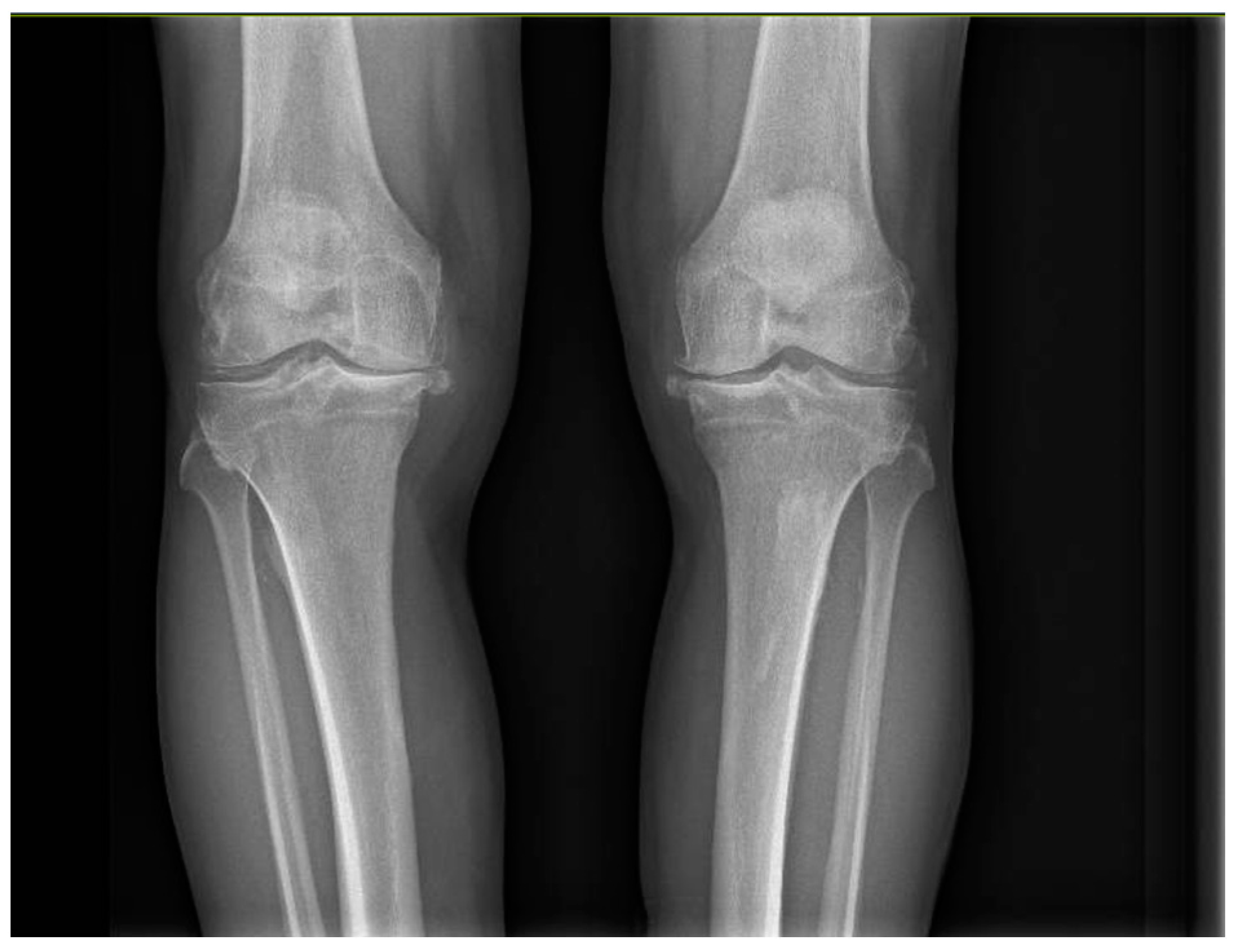 Healthcare 12 01902 g001