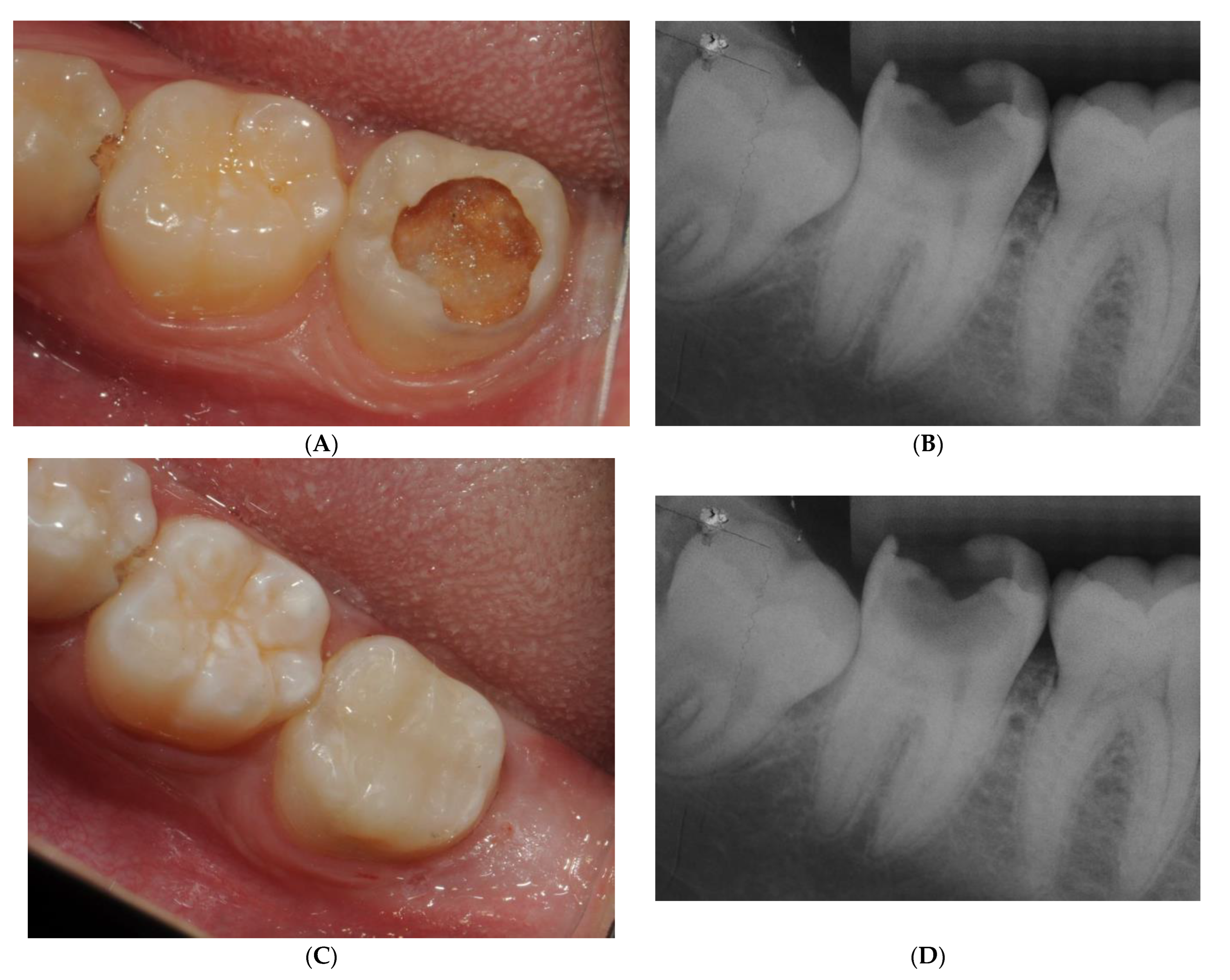 Healthcare 12 01907 g001