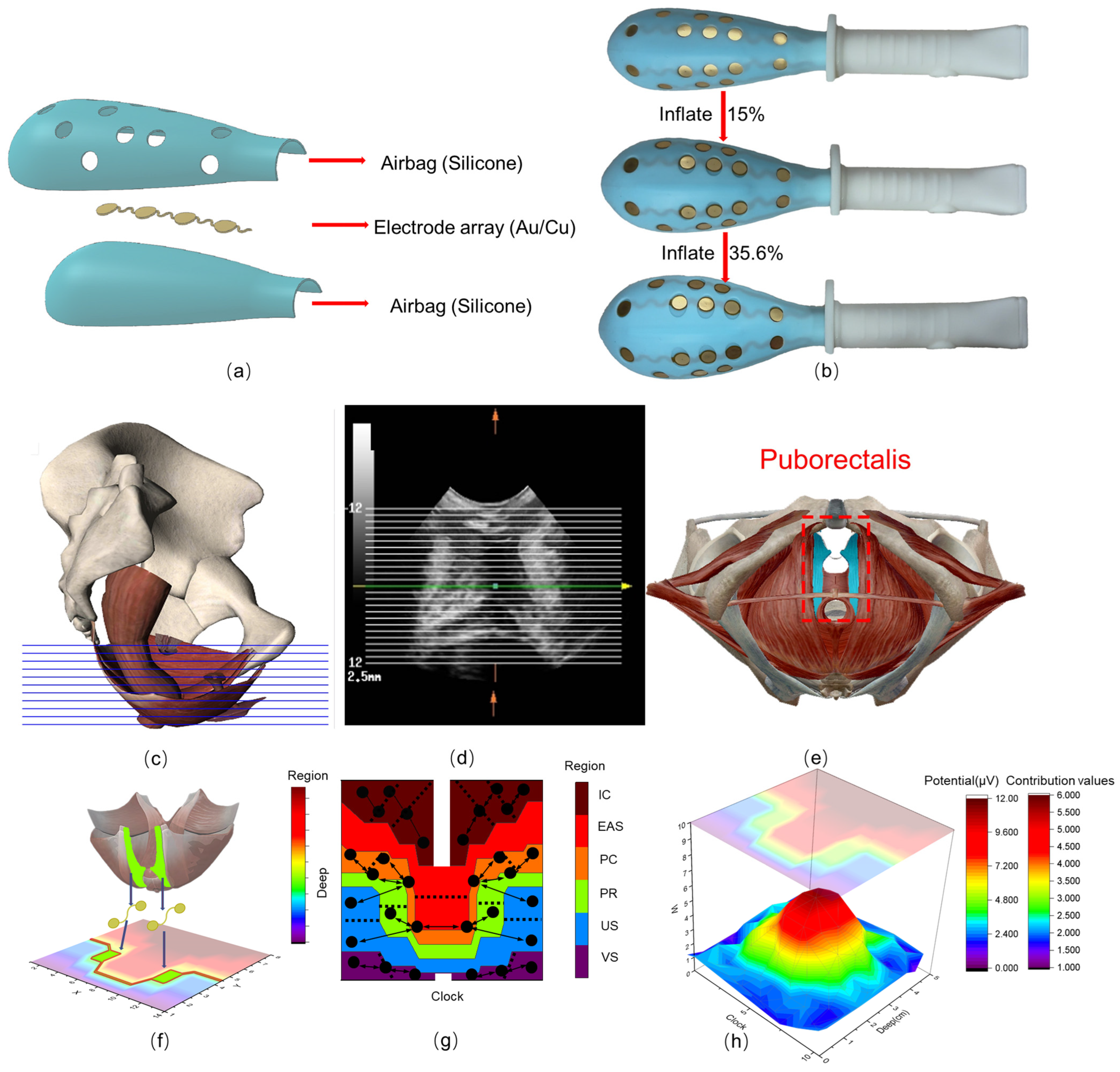 Healthcare 12 01910 g001