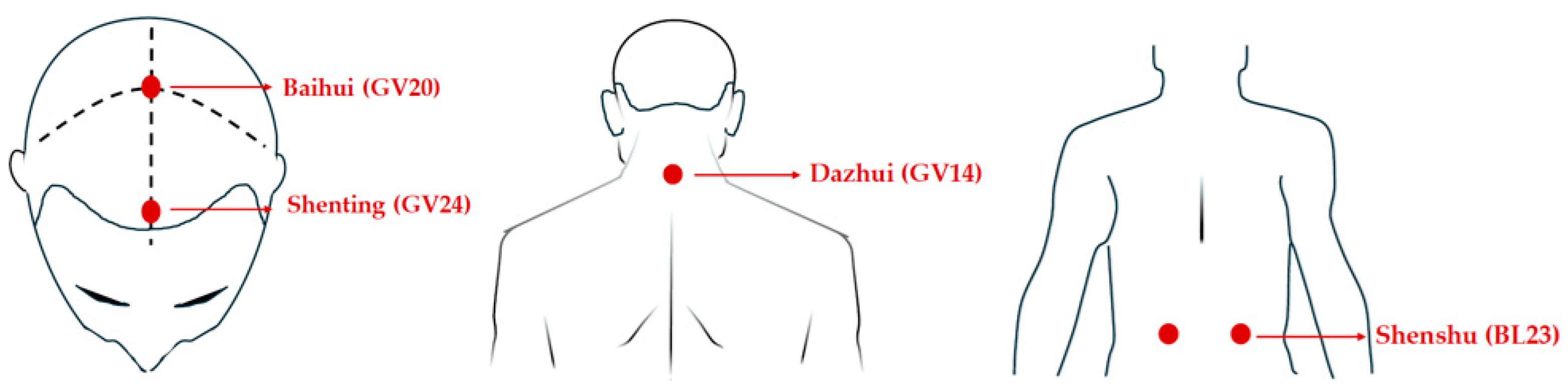 Healthcare 12 01945 g001