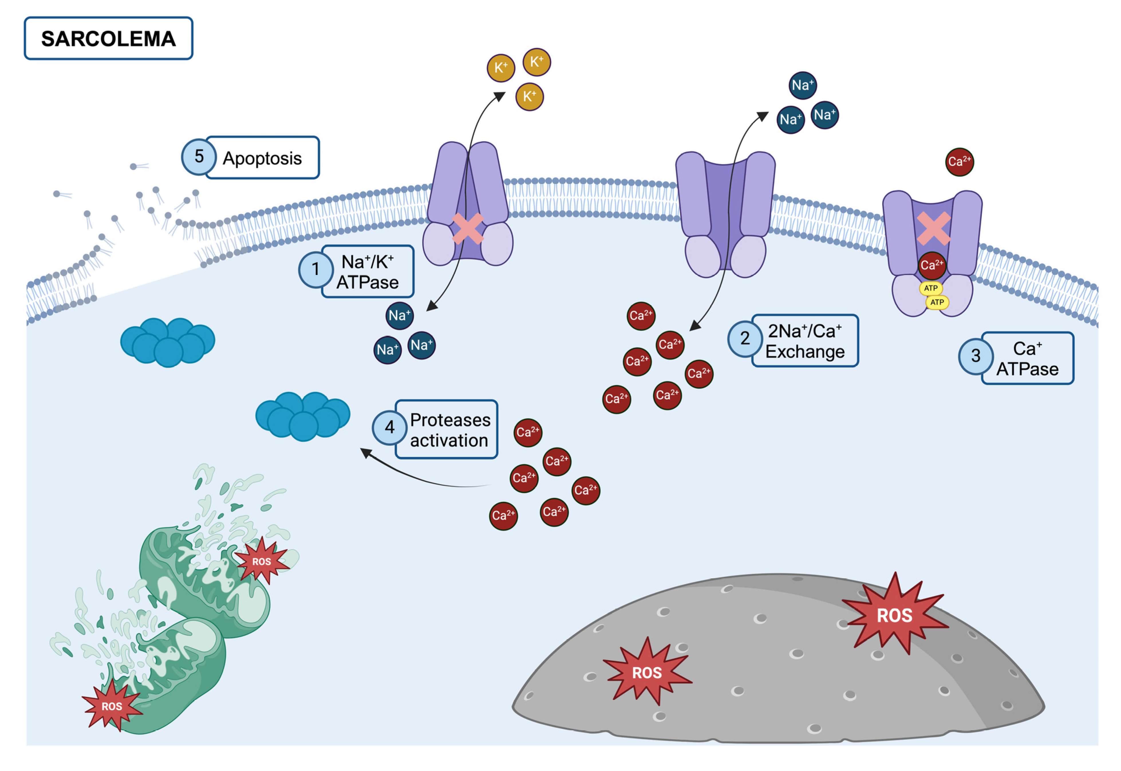 Healthcare 12 02029 g001