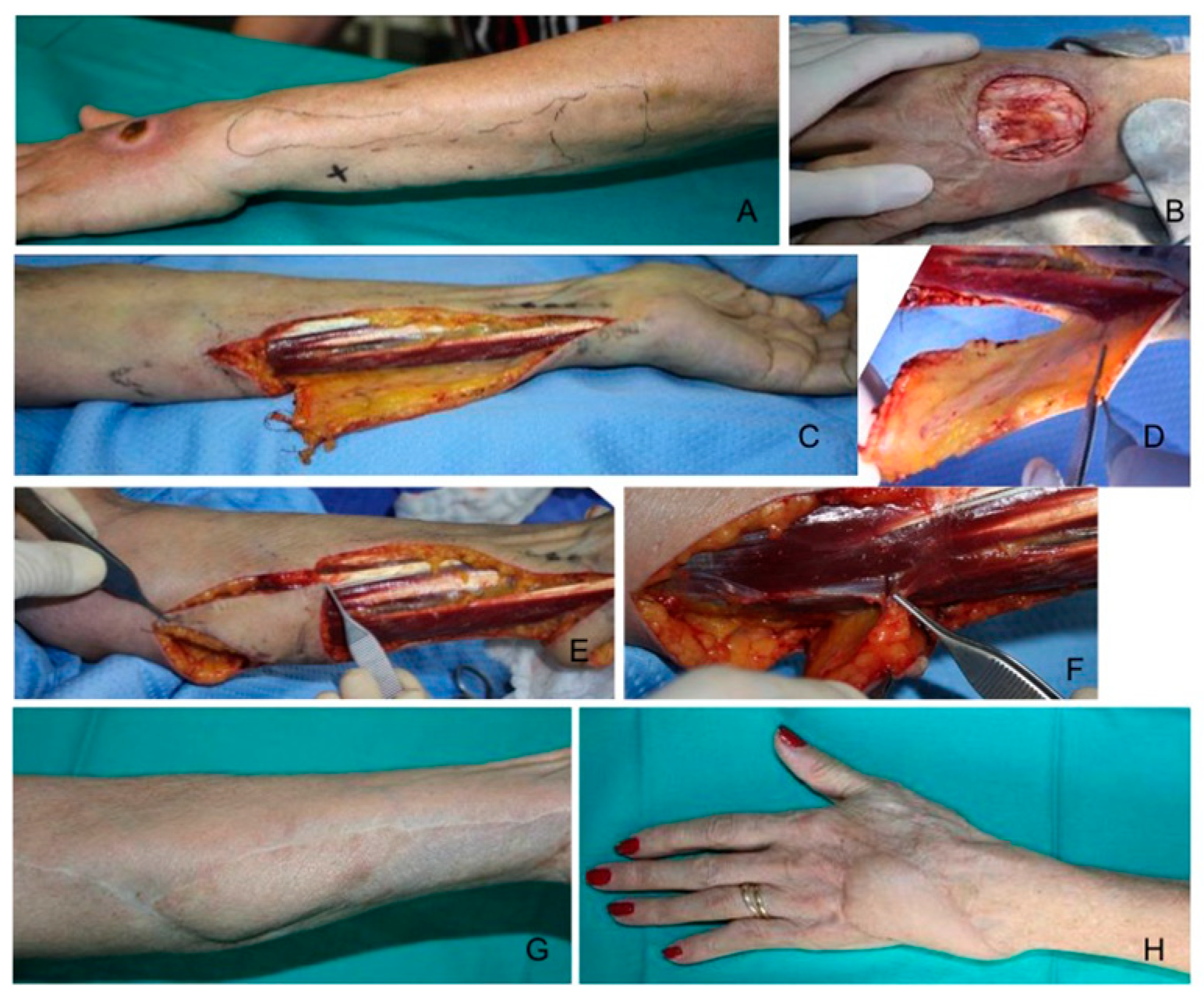 Healthcare 12 02043 g001