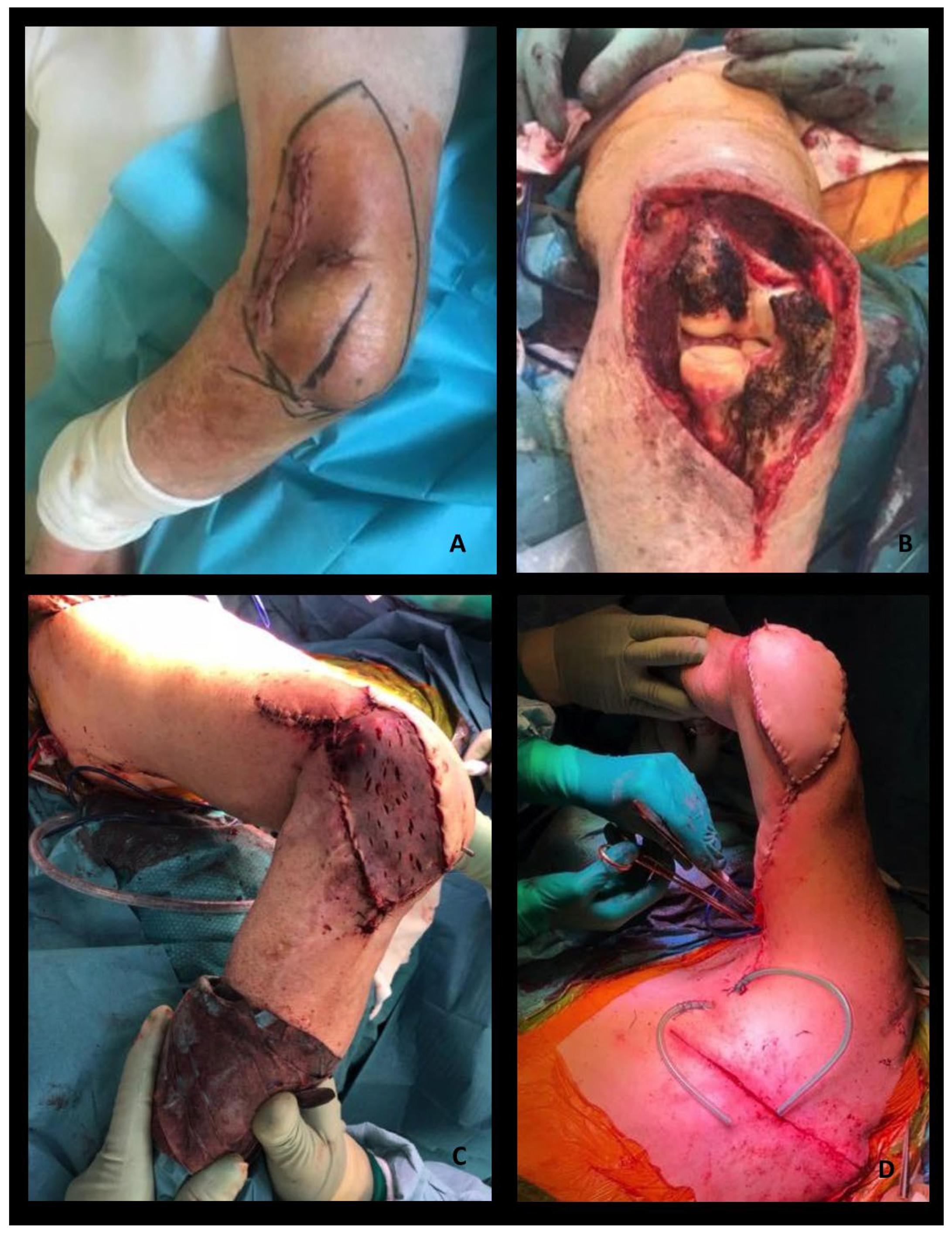 Healthcare 12 02043 g004